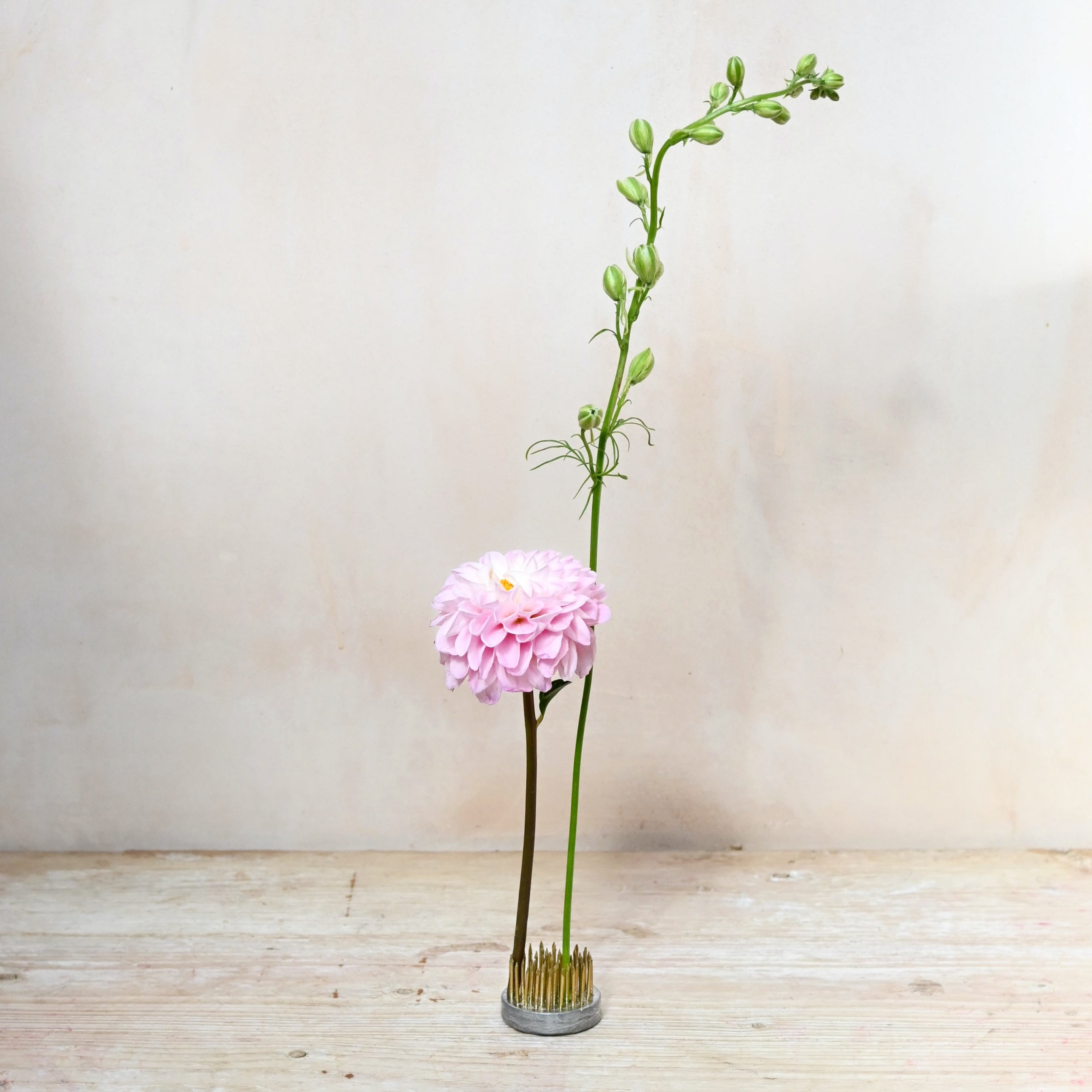 flower kenza or flower frog for modern floral displays