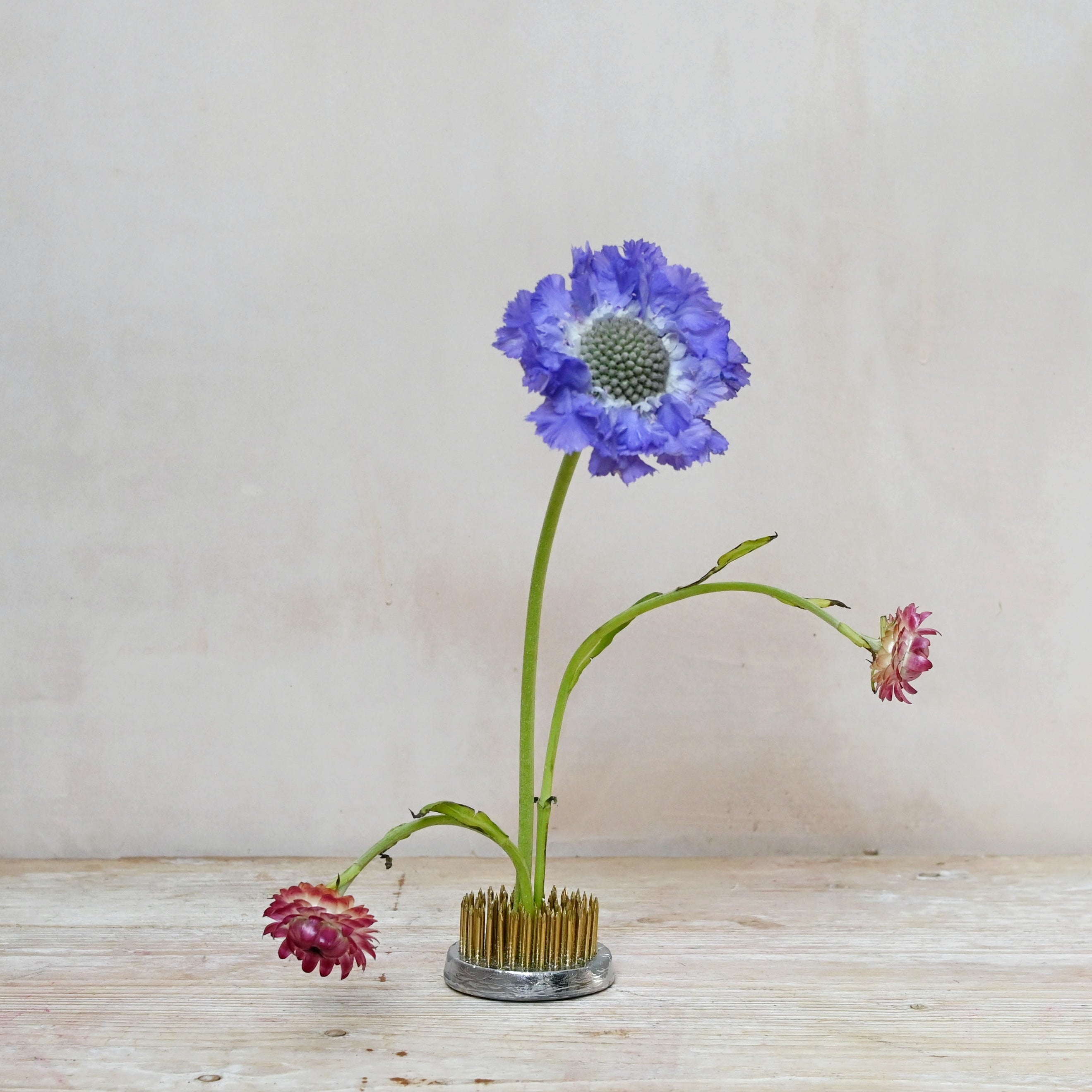 flower kenza or flower frog for modern floral displays