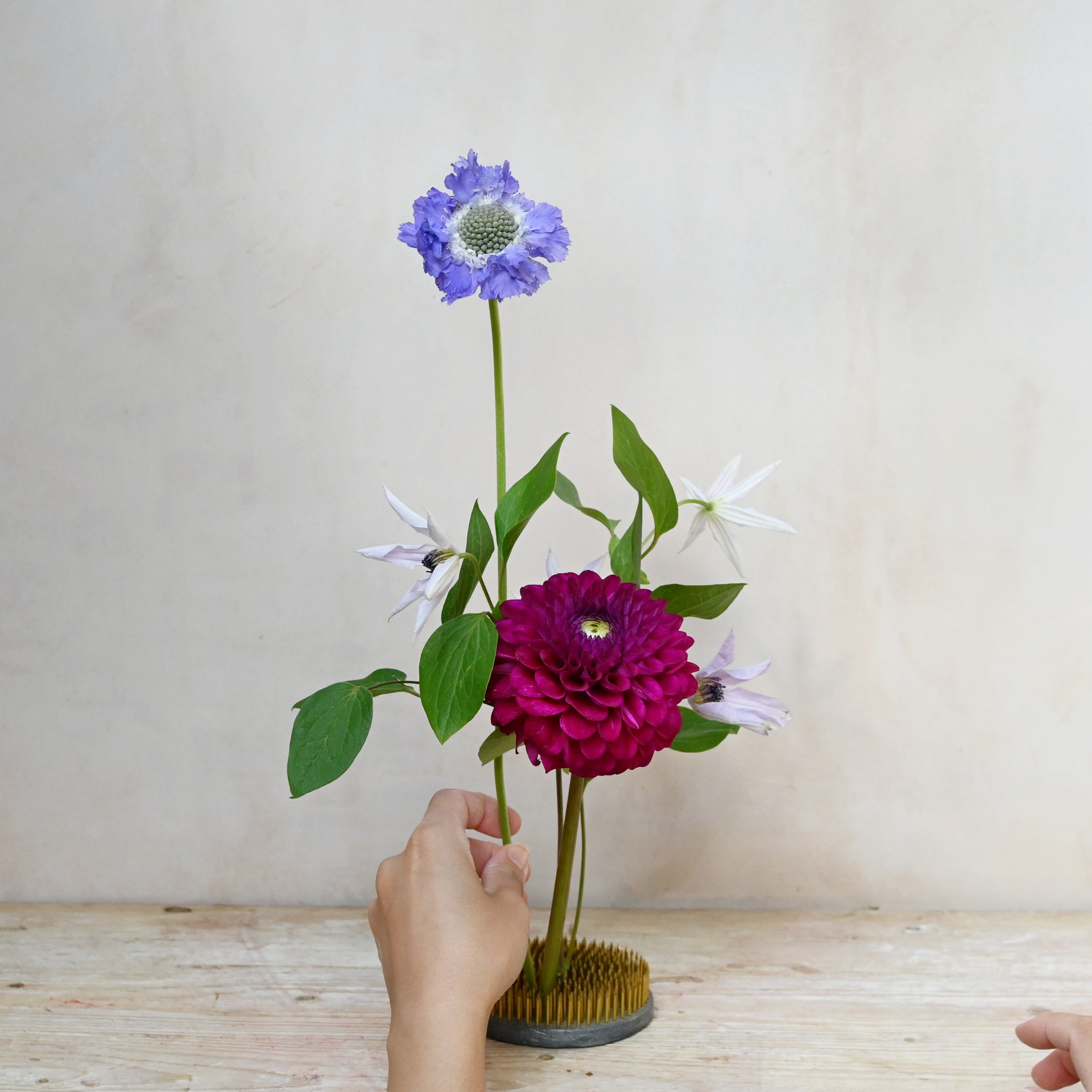 flower kenza or flower frog for modern floral displays