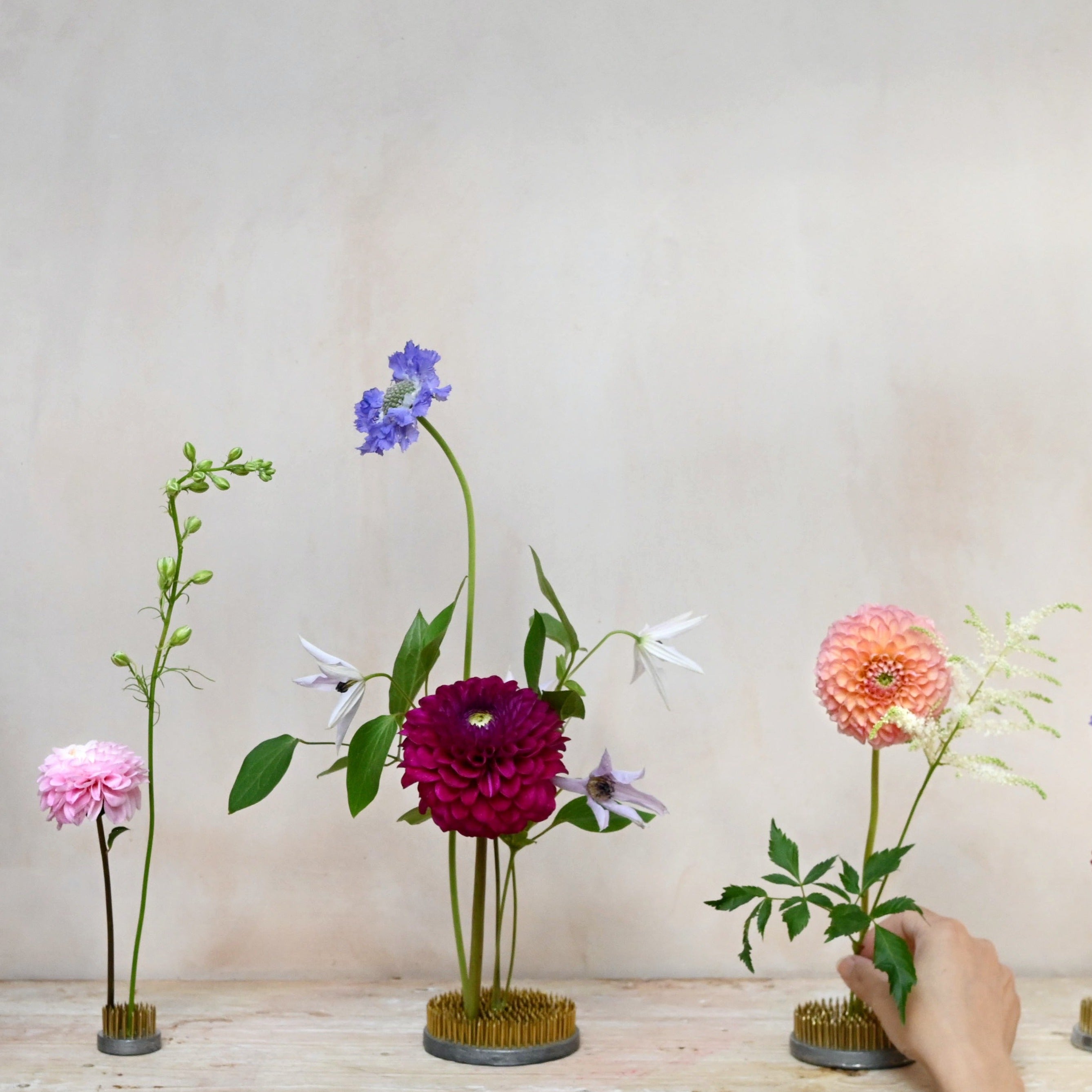 flower kenza or flower frog for modern floral displays