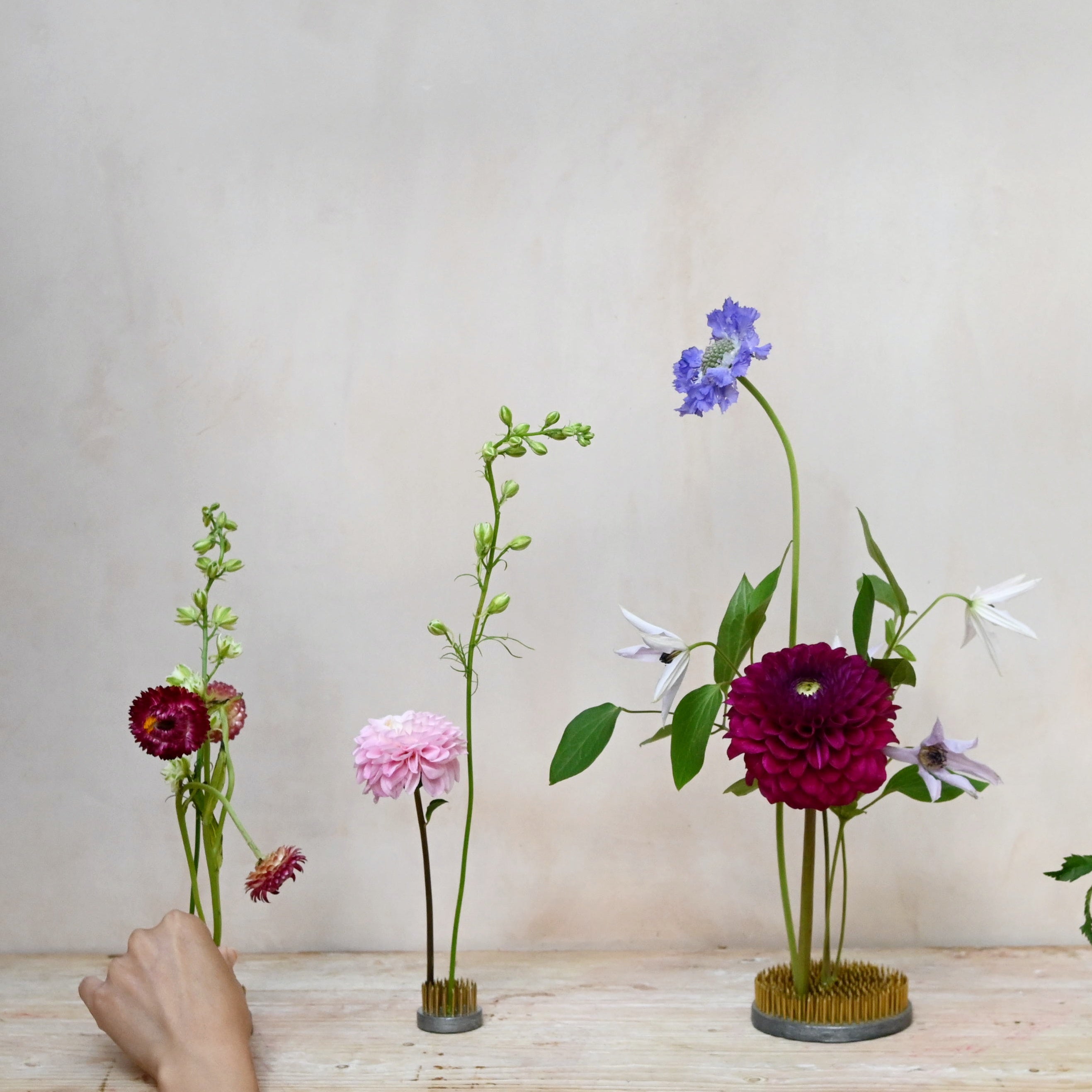 flower kenza or flower frog for modern floral displays