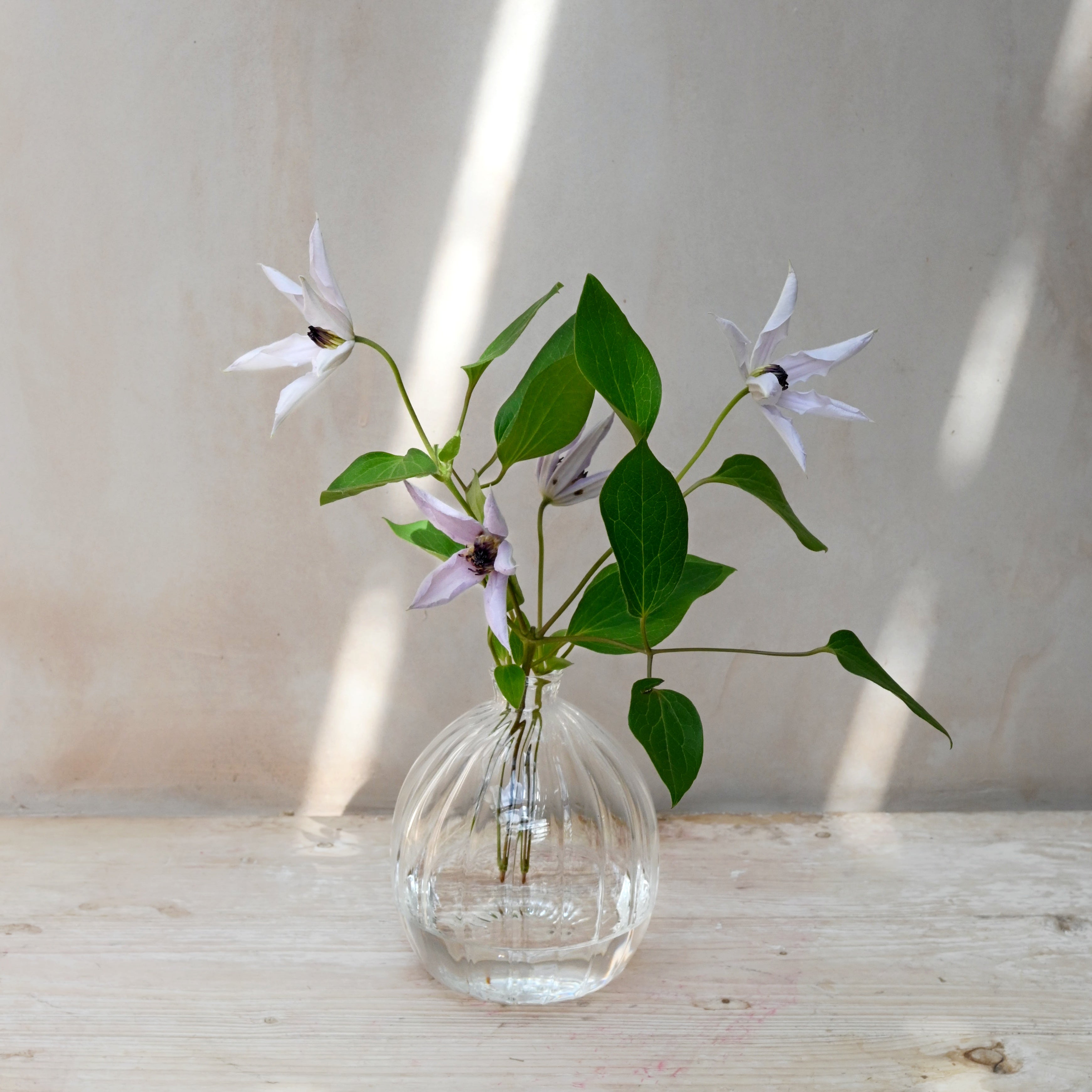 round glass bud vase for table decoration