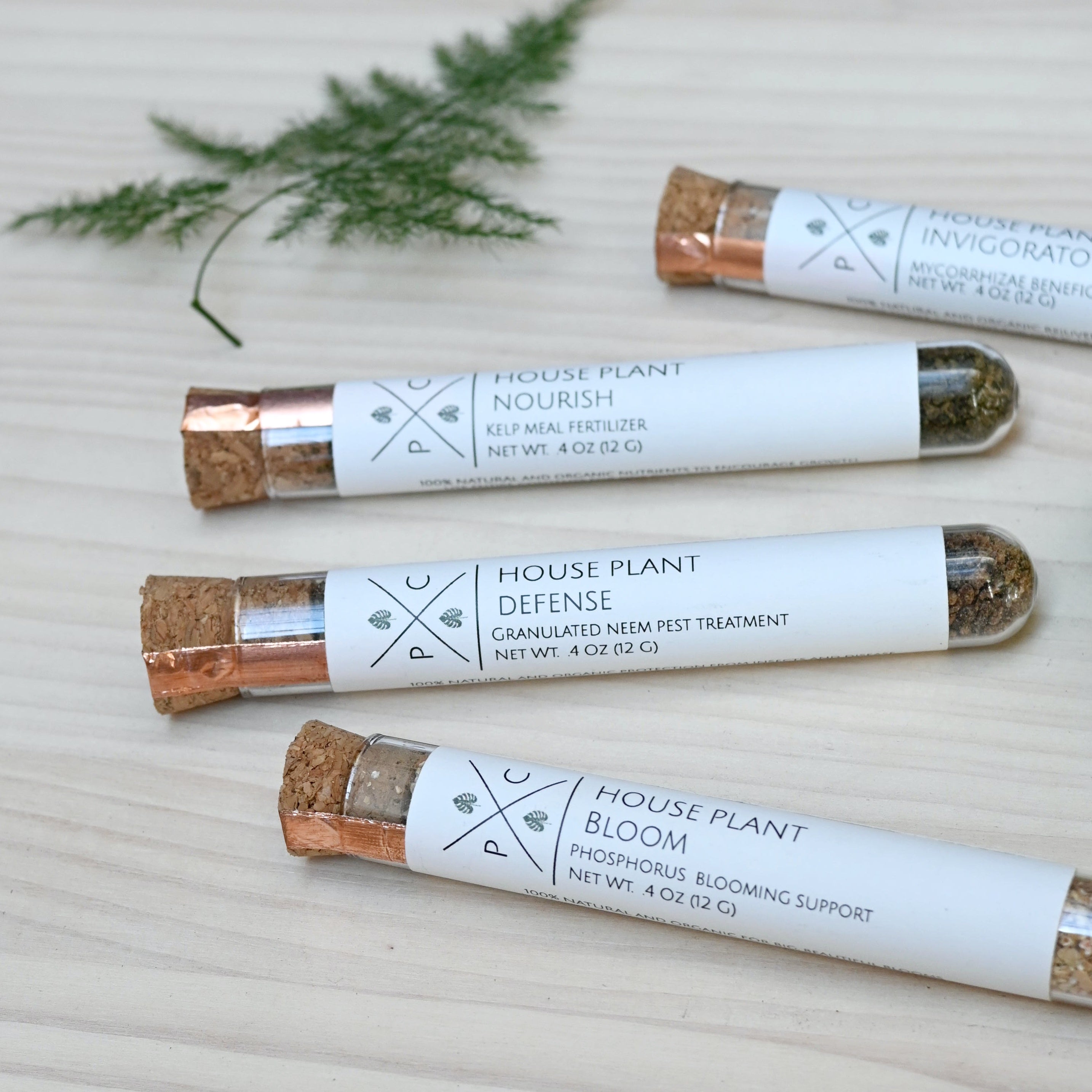 house plant care tubes set of 4