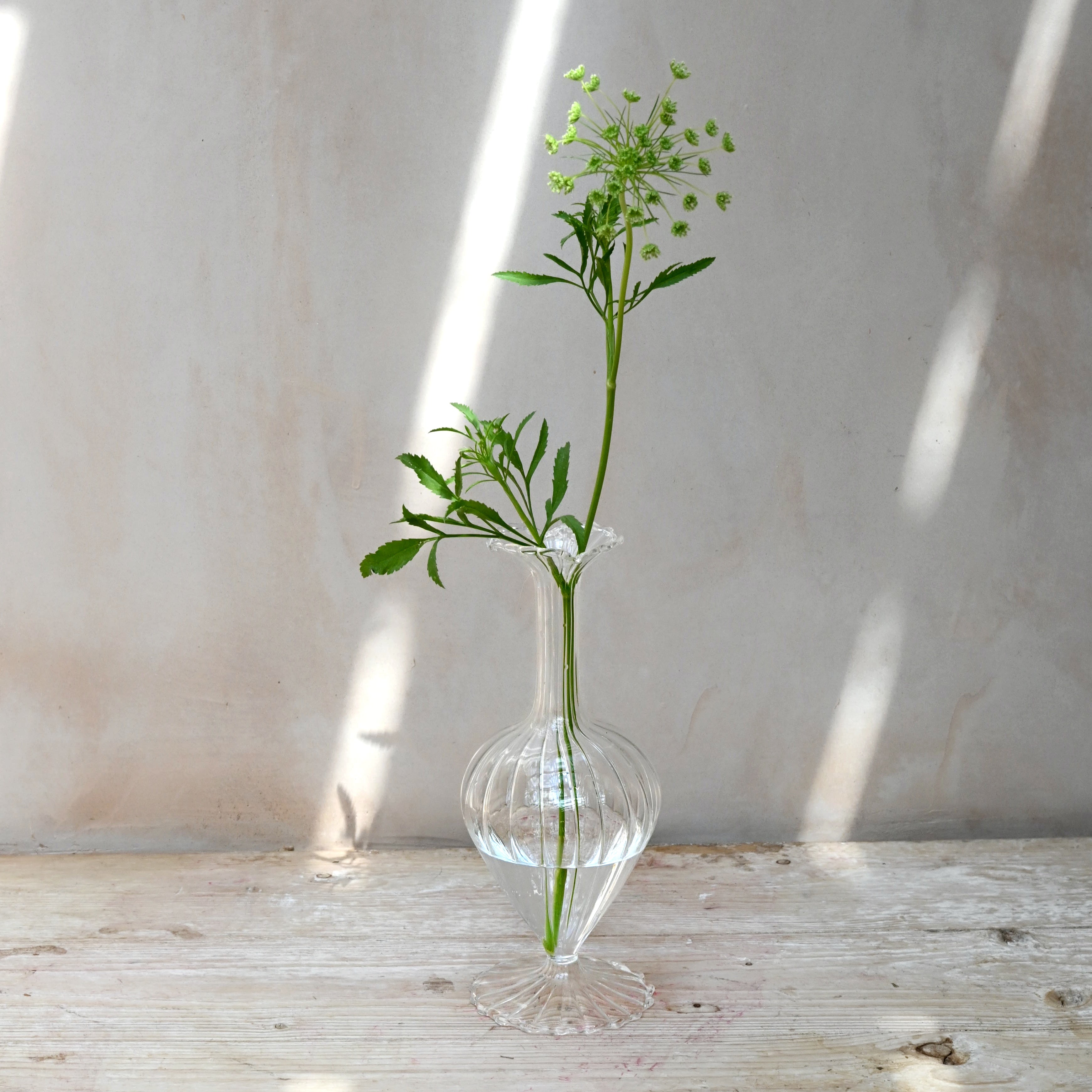 large glass bud vase for fresh and dried flowers