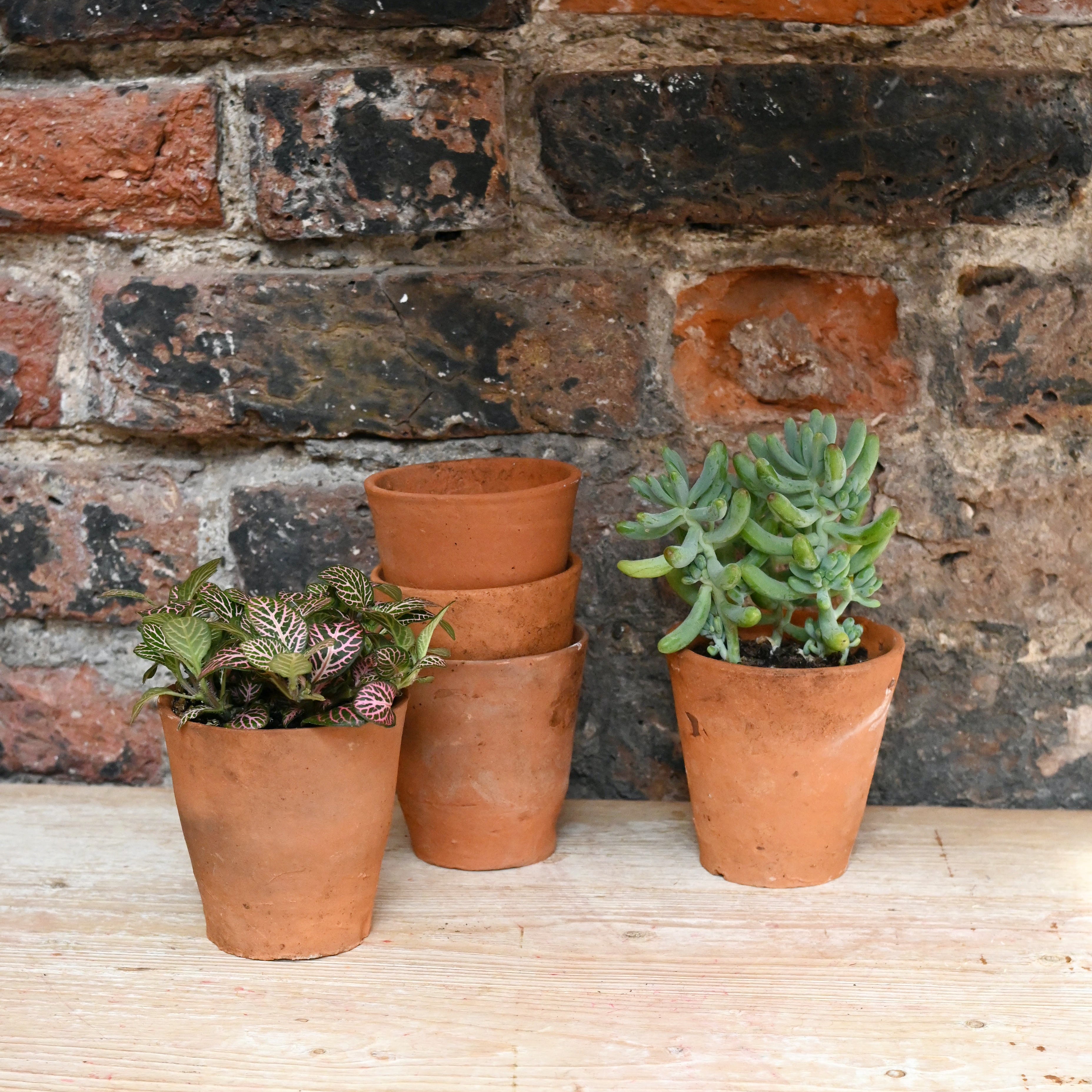 hand thrown terracotta plant pots