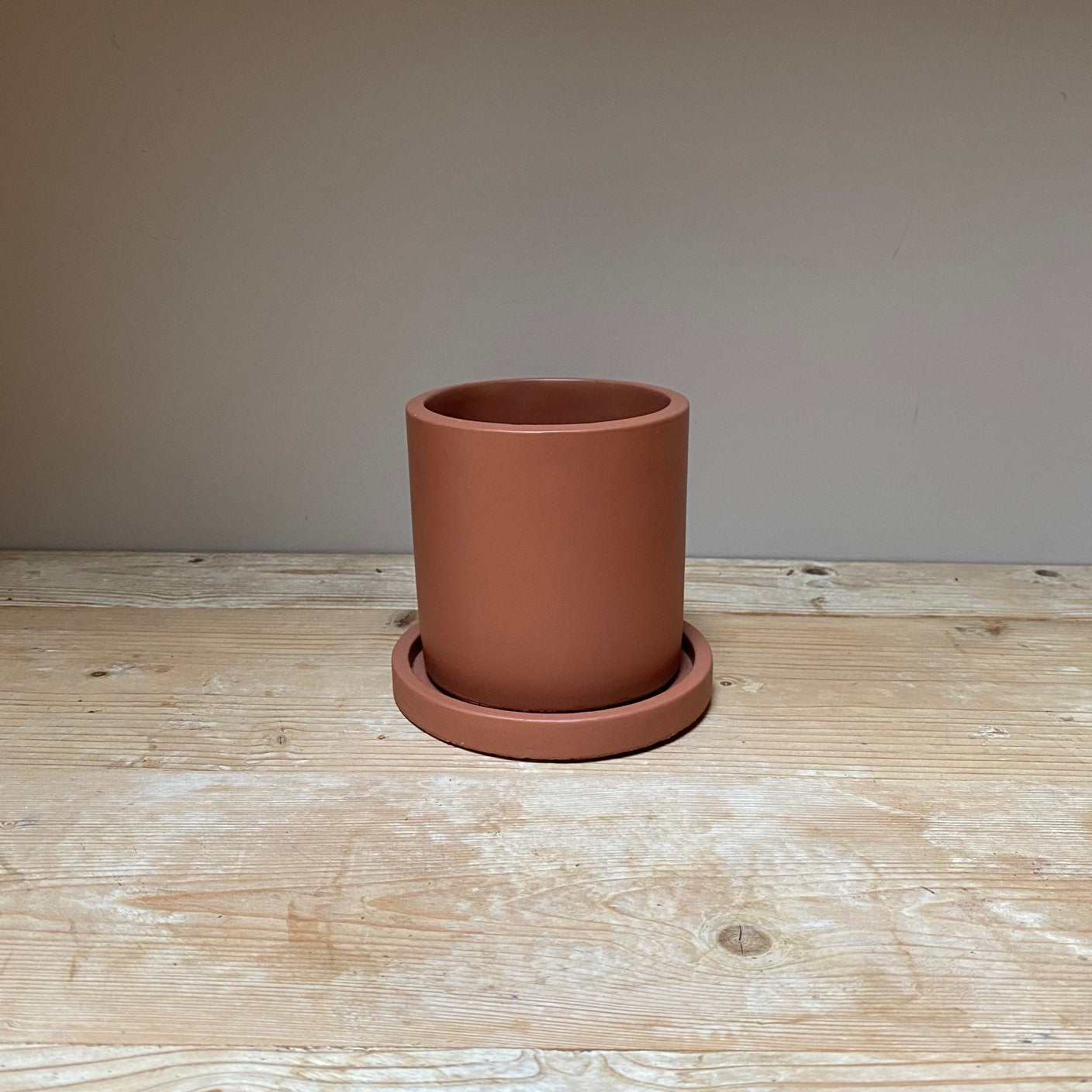 Anther & Moss Polished Concrete Pot - Small