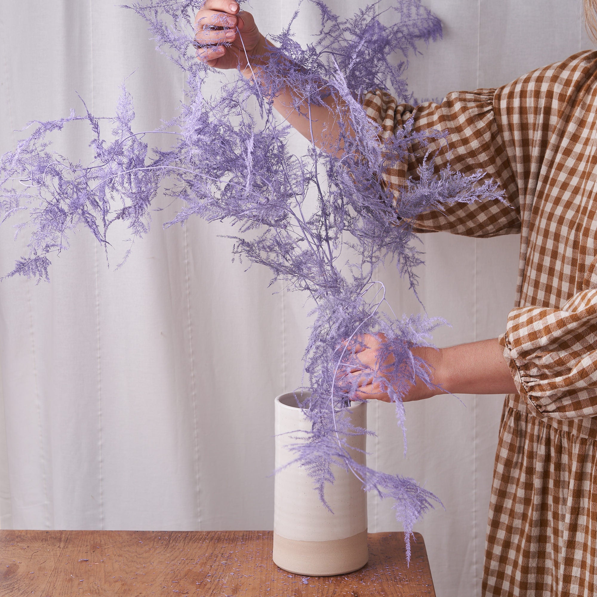 Asparagus Fern Lilac Dried Bunch