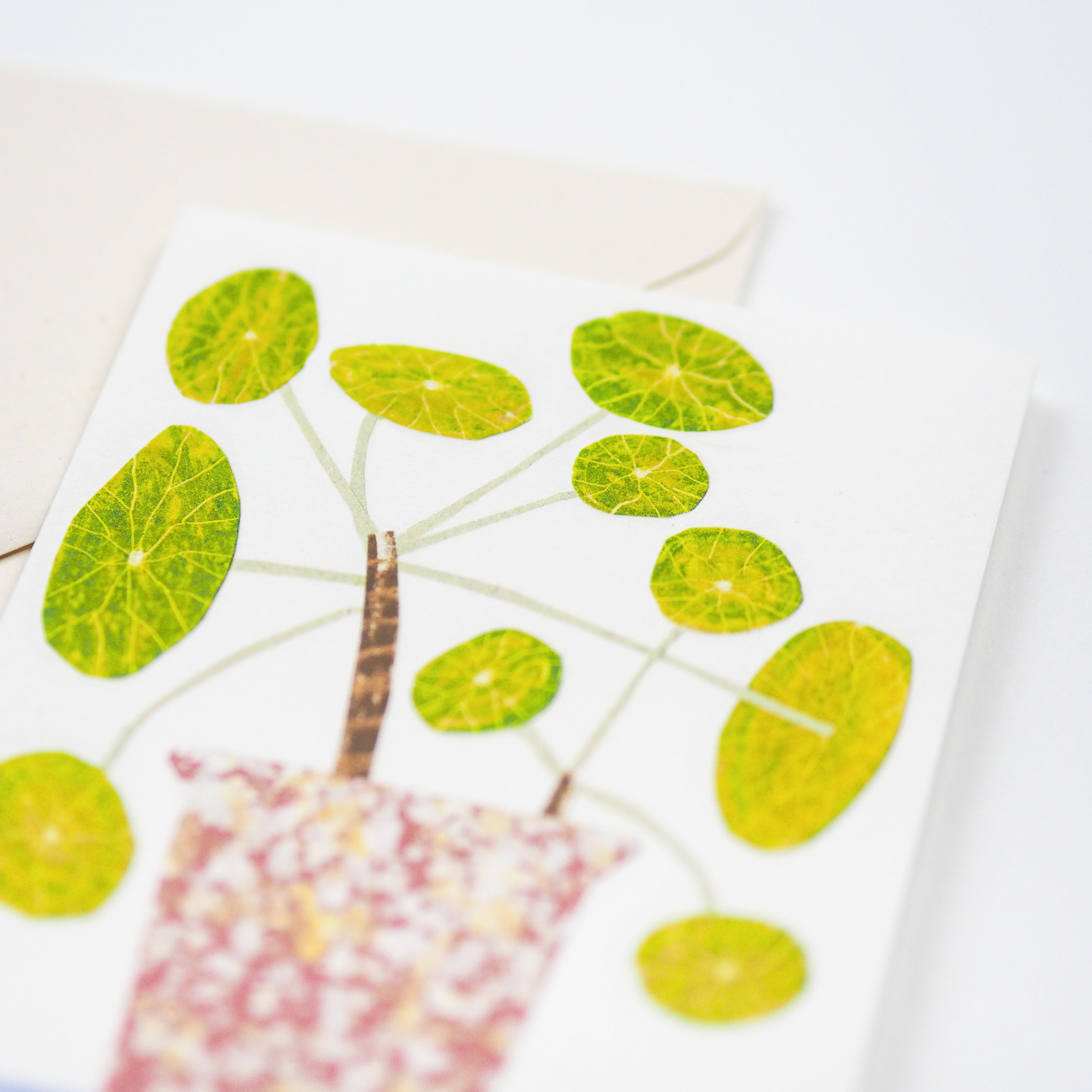 Pilea Plant Greetings Card