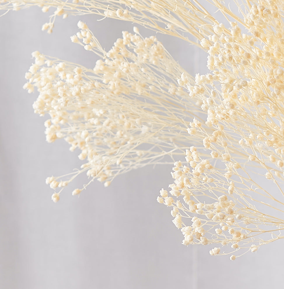 Broom Bleached Dried Bunch