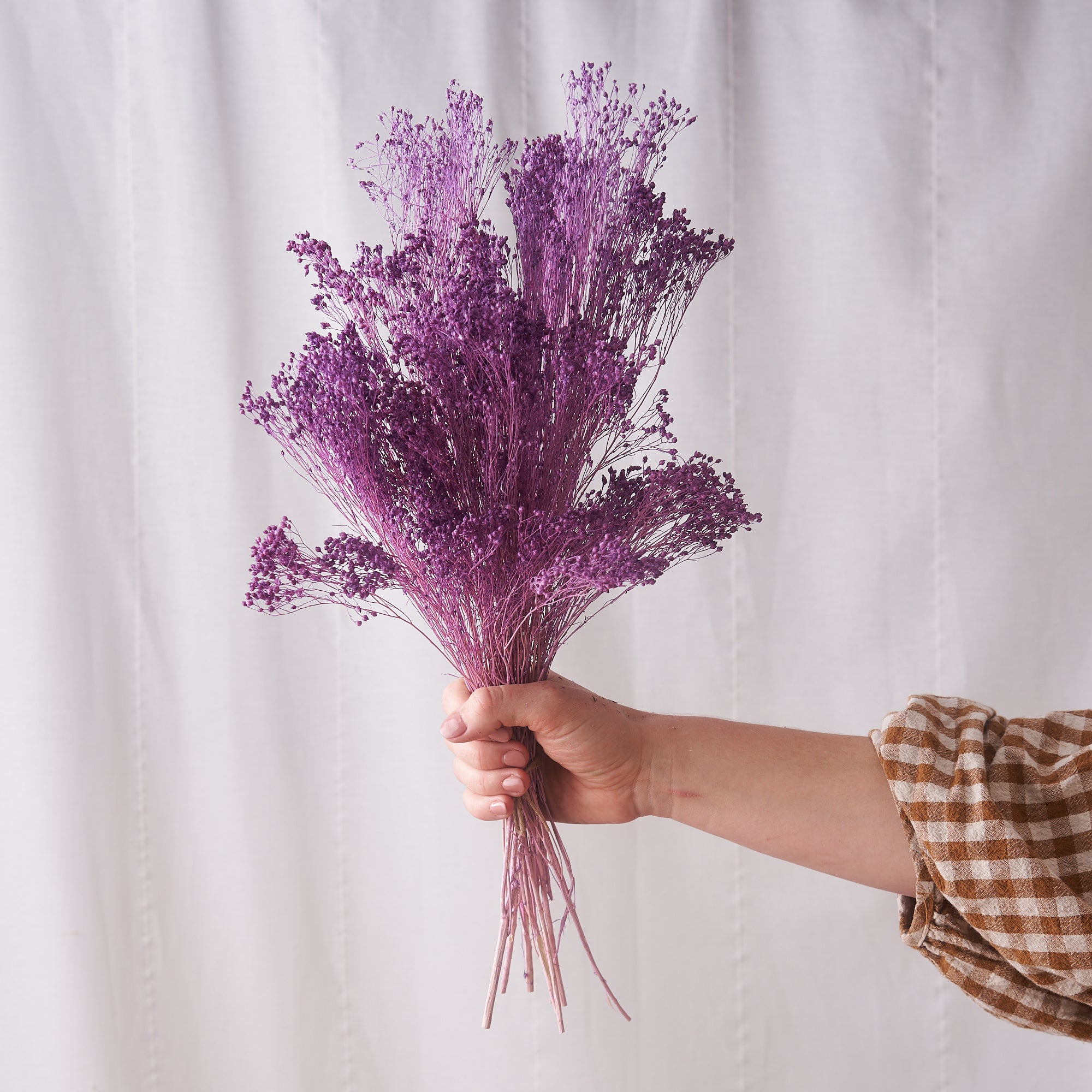 Broom Lilac Dried Bunch