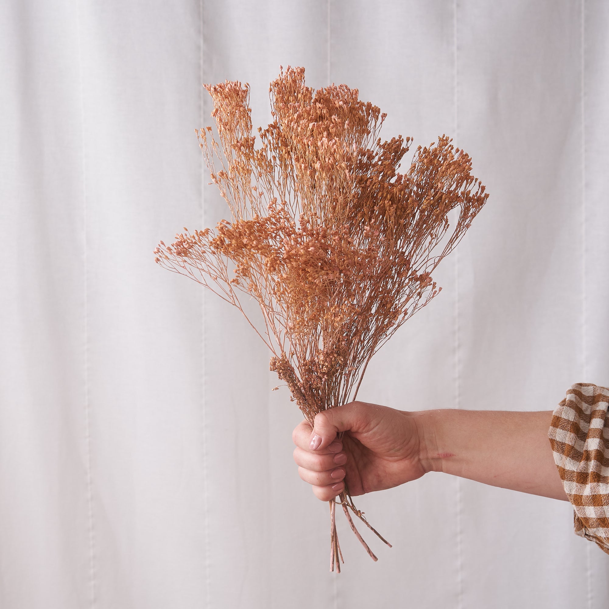 Broom Pink White Wash Dried Bunch