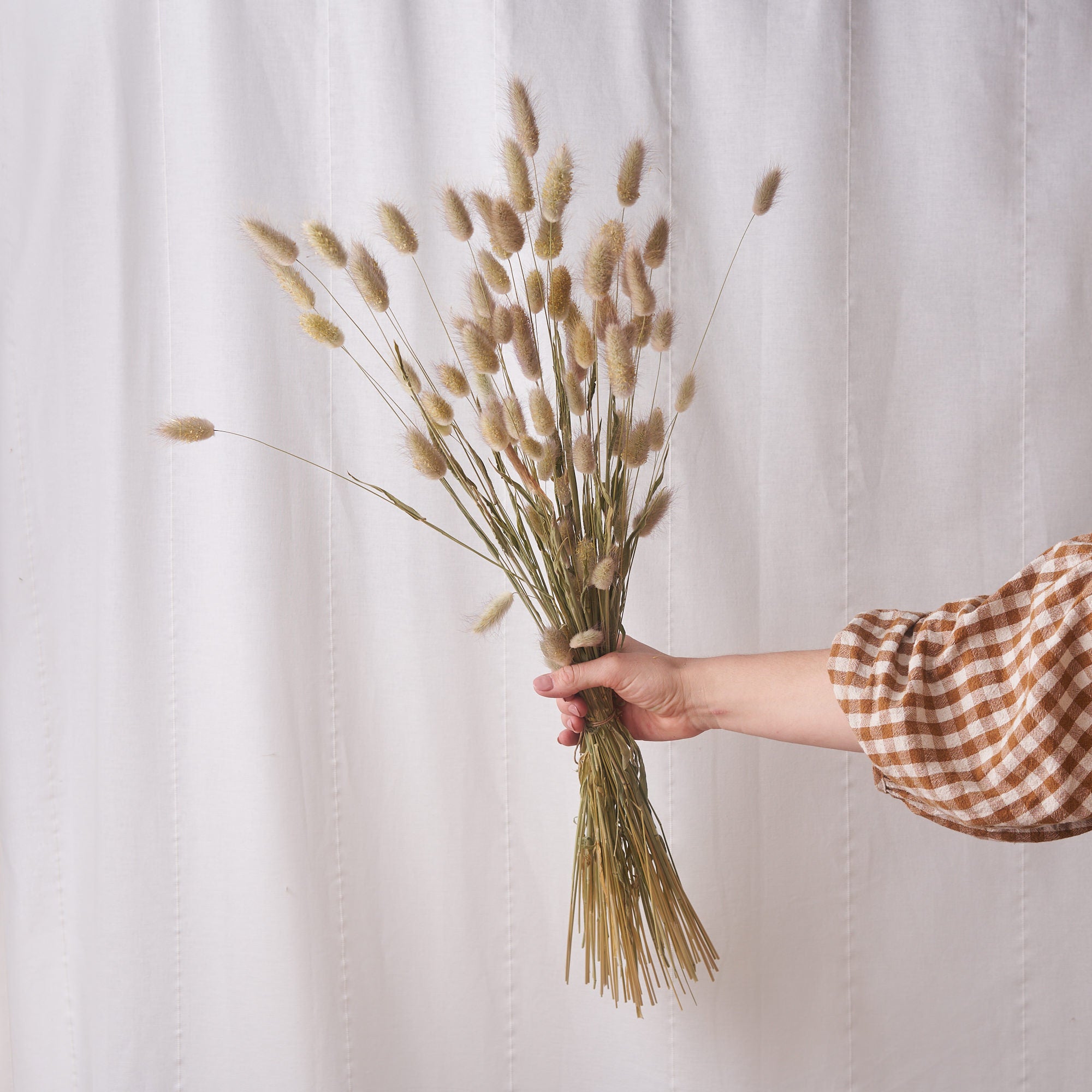 Bunny tails natural Dried bunch