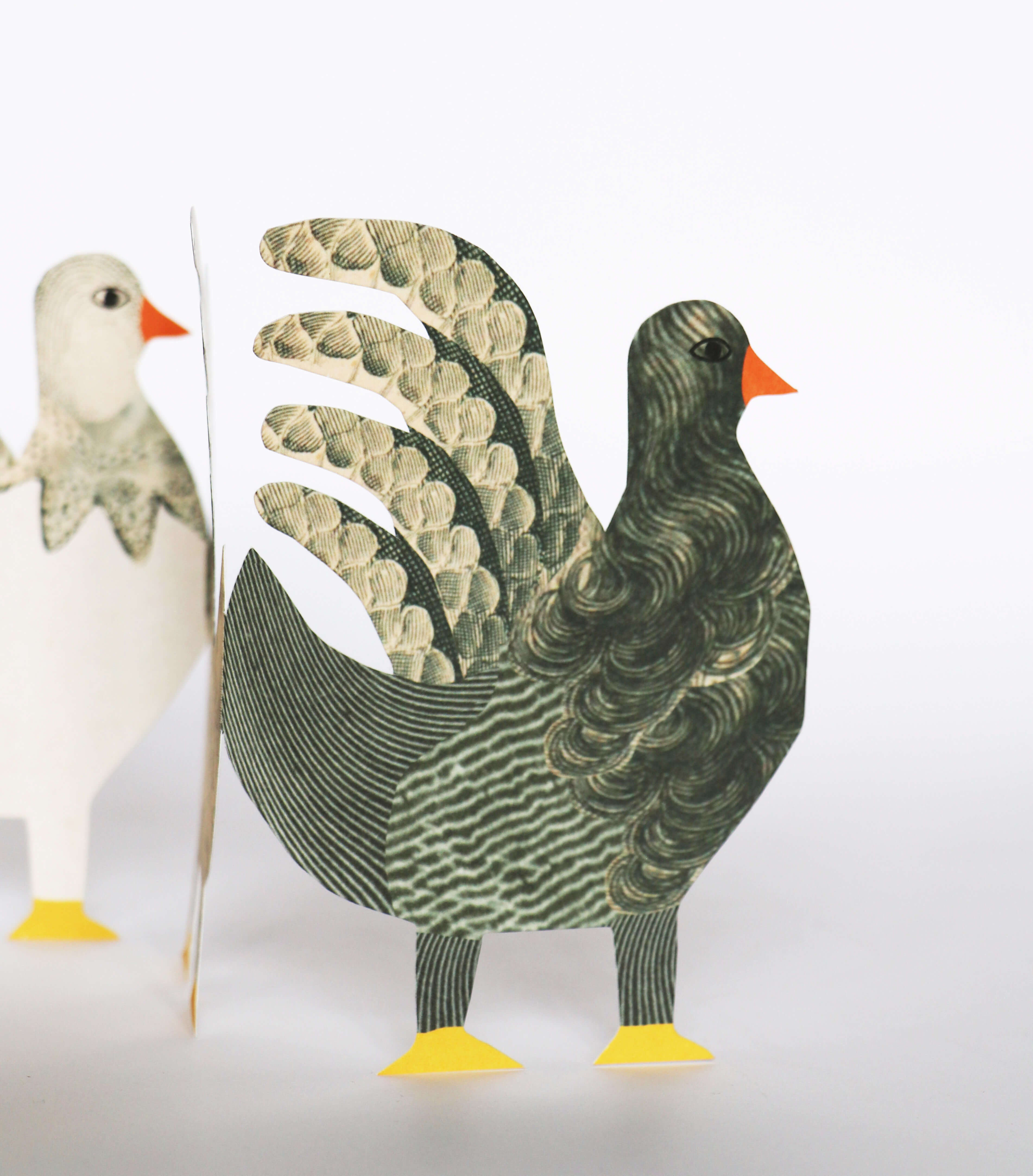 Chicken Concertina