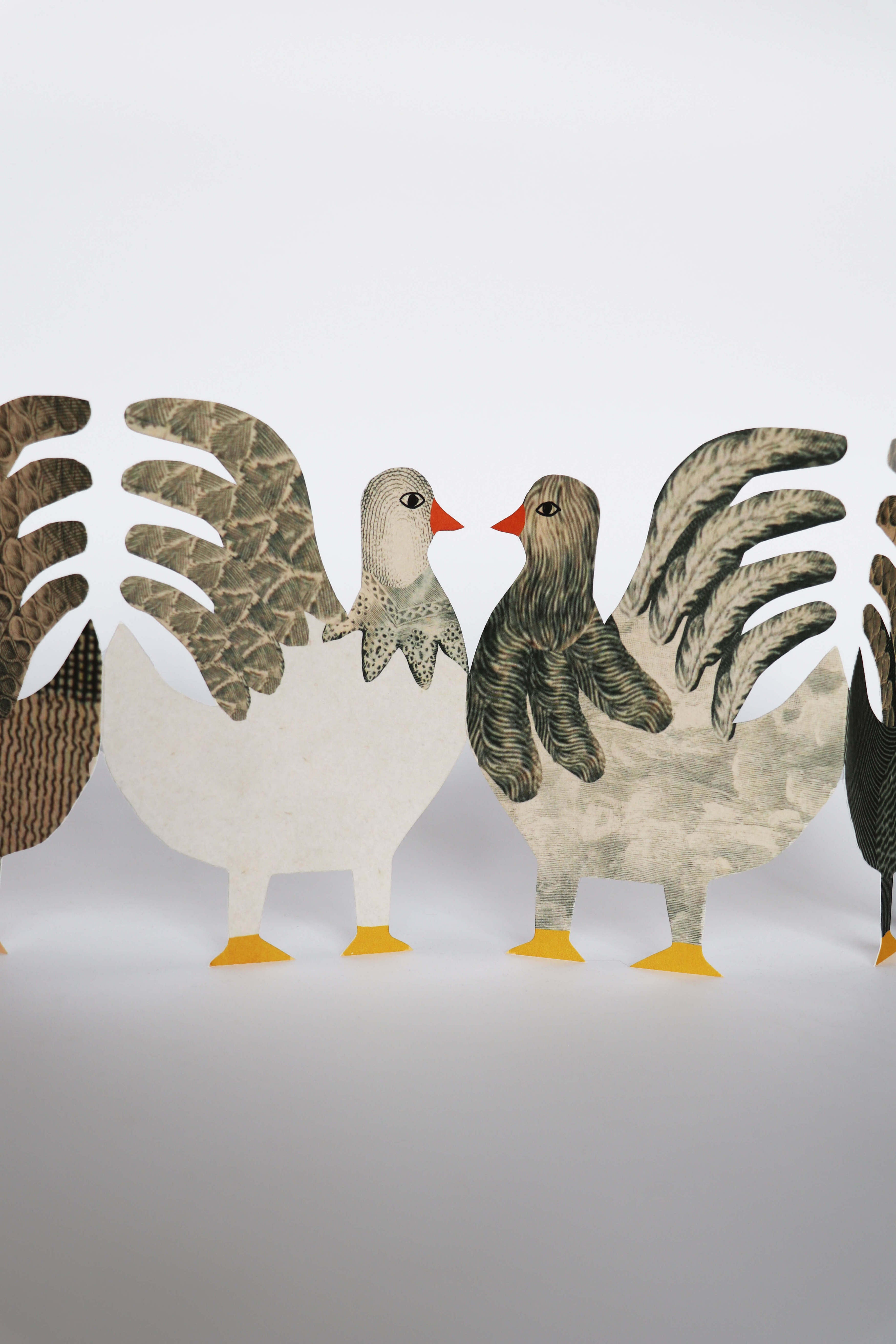 Chicken Concertina