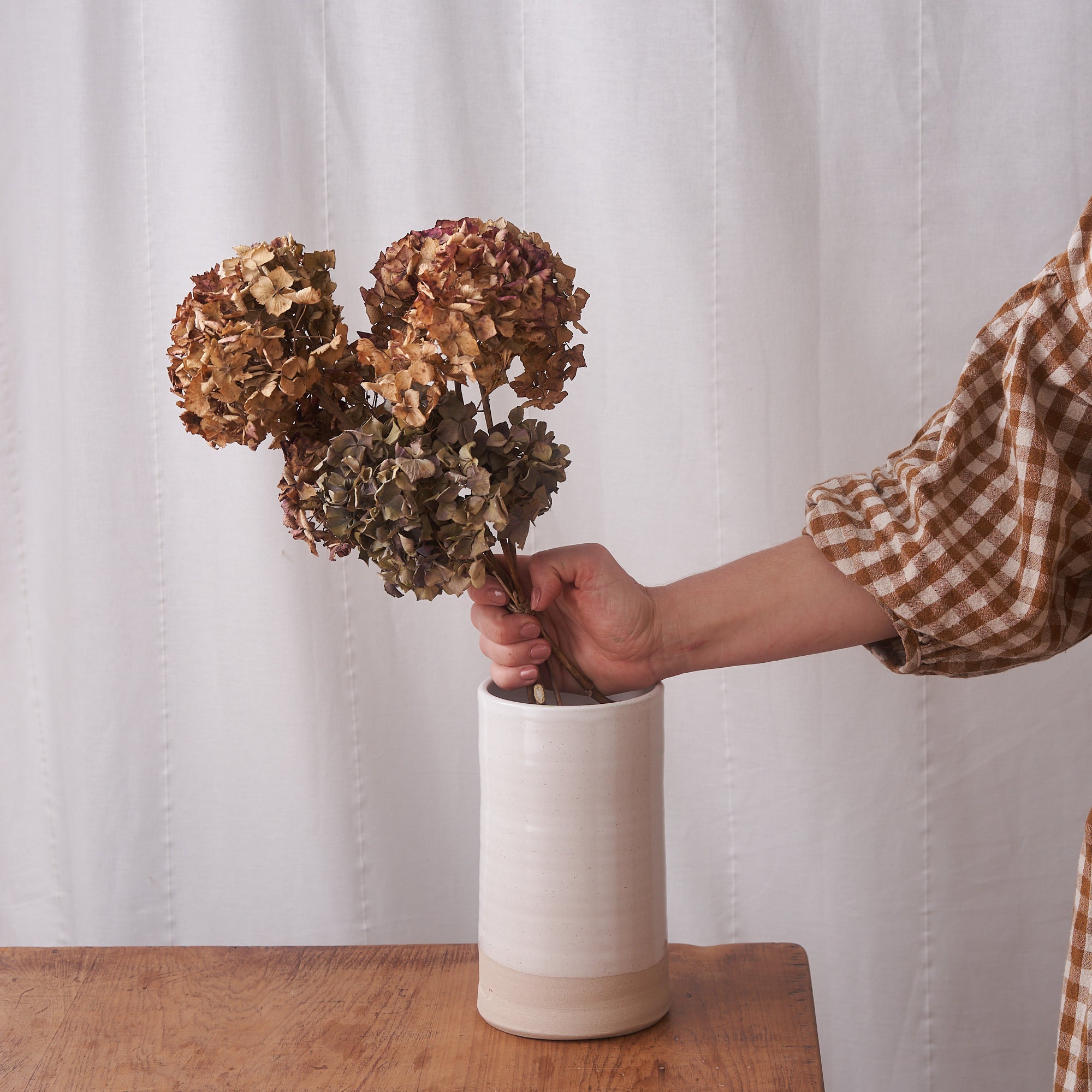 Hydrangea dried bunch: natural