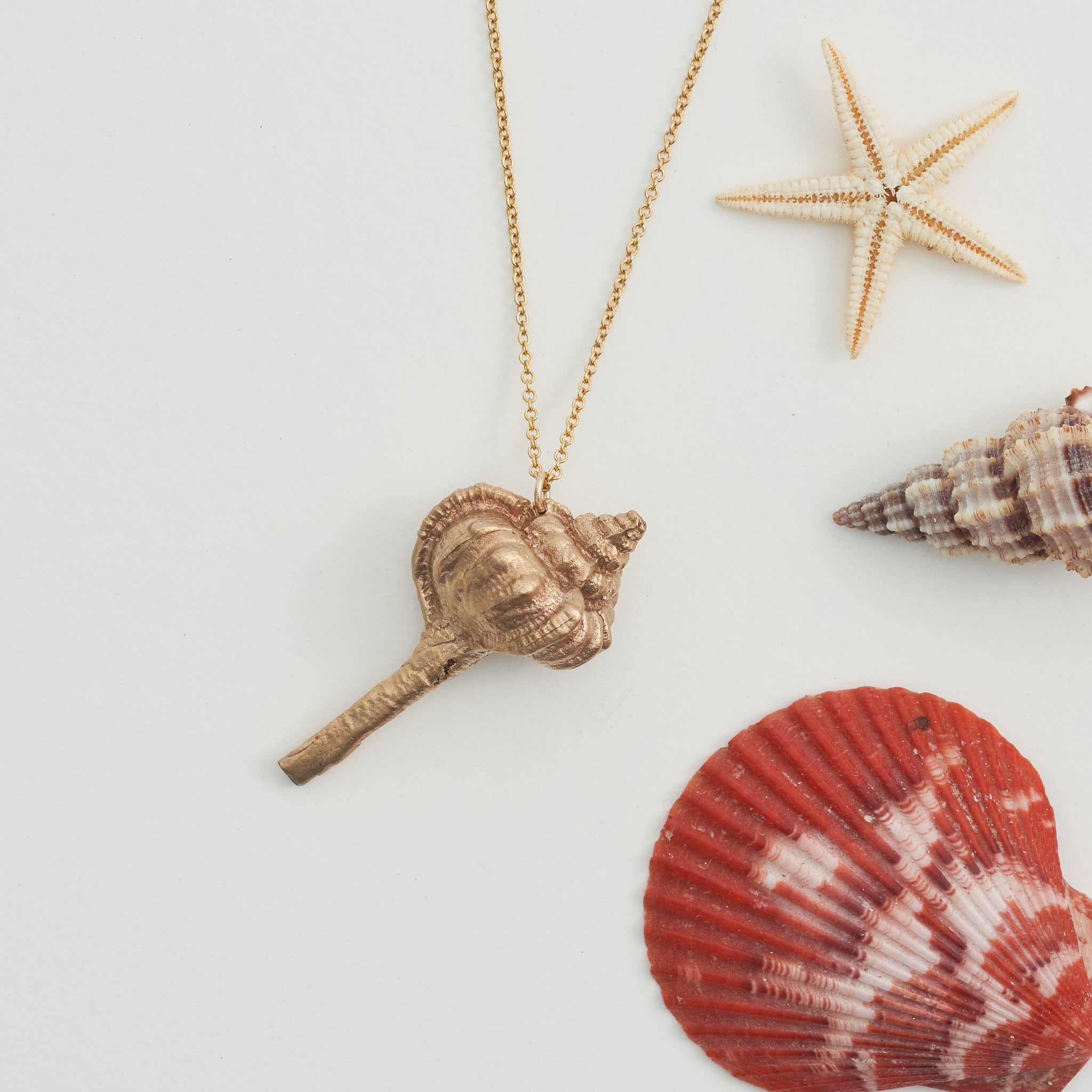 Hand Cast Shell Necklace | Conch