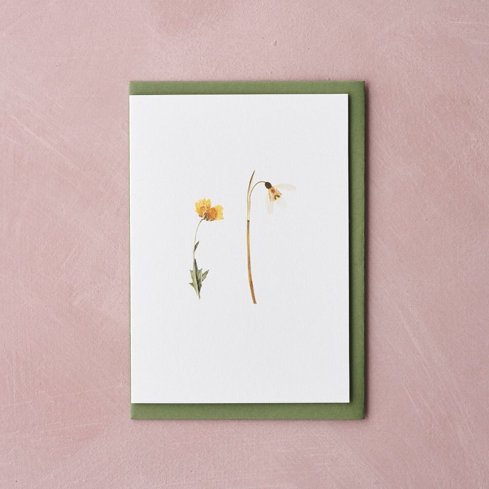 Pressed Flower Botanical Greetings Card - Spring