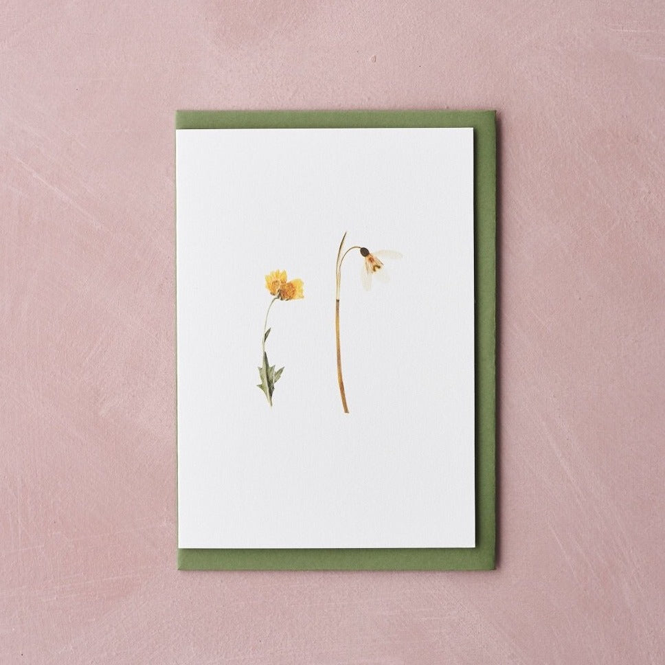 Pressed Flower Botanical Greetings Card - Spring