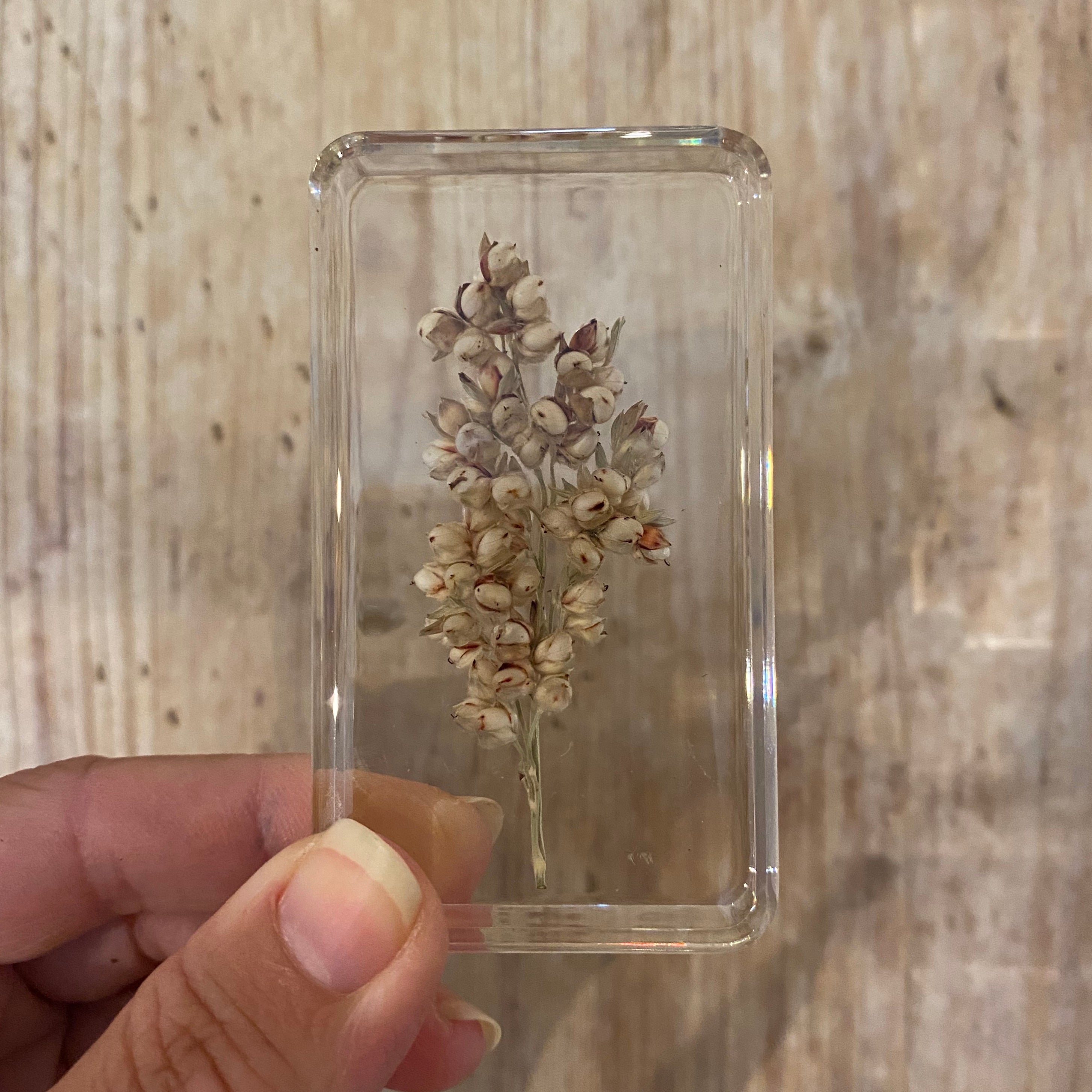 Real Pressed Flowers in Resin | Large