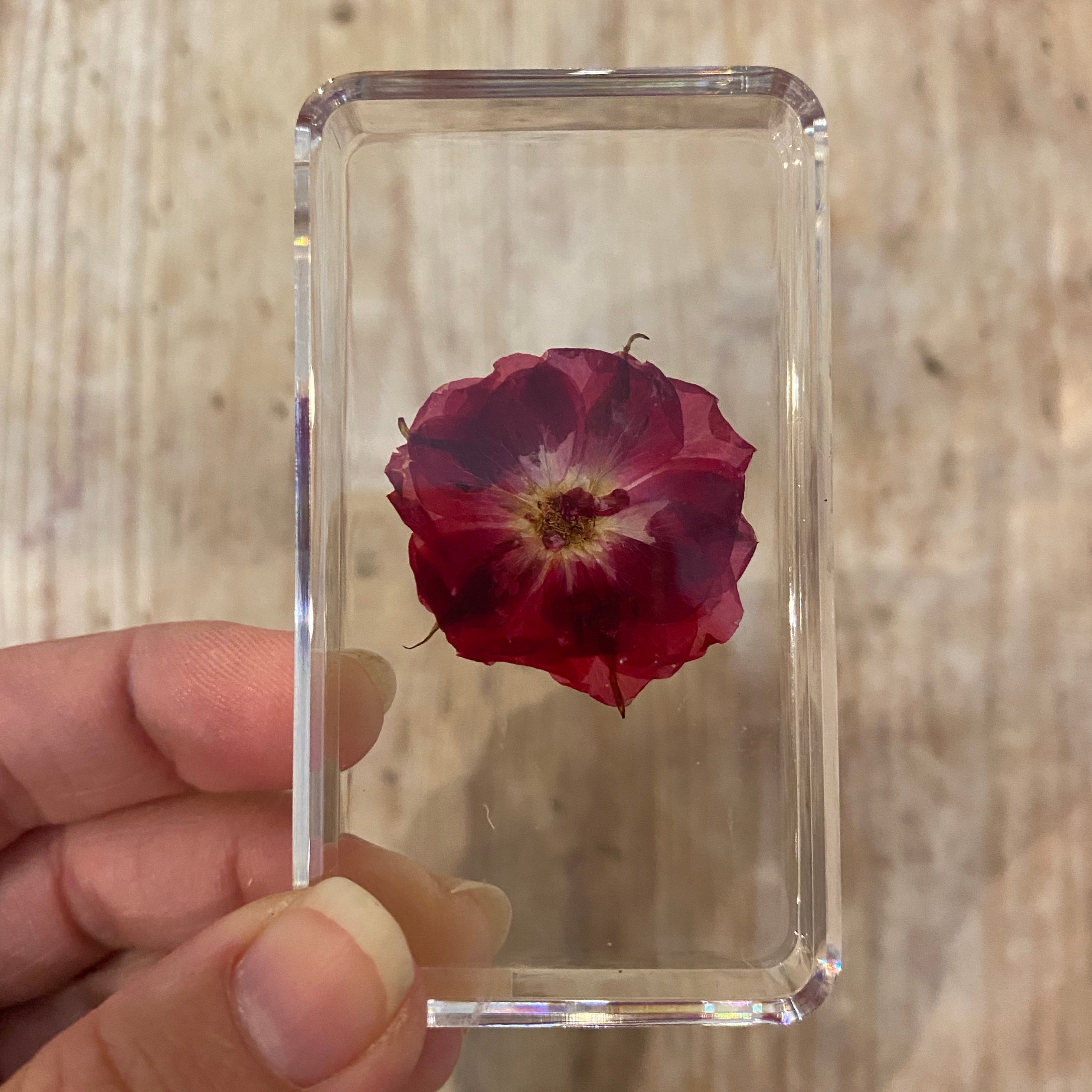 Real Pressed Flowers in Resin | Large