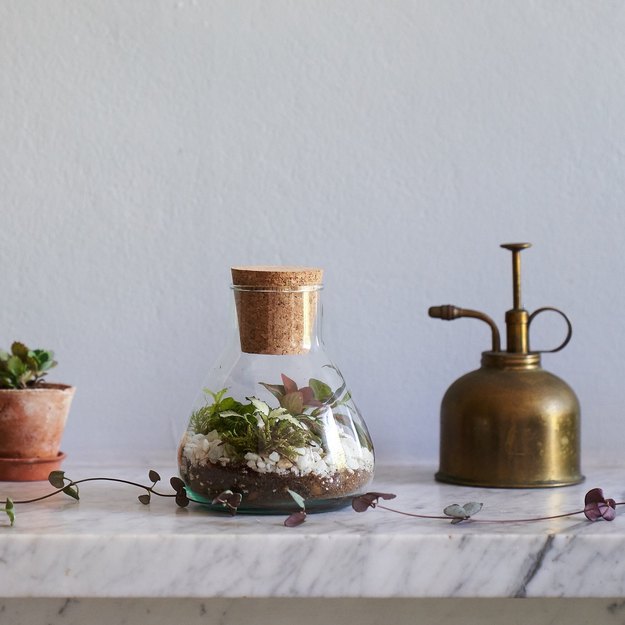 DIY terrarium making kit by Botanique Workshop London kit