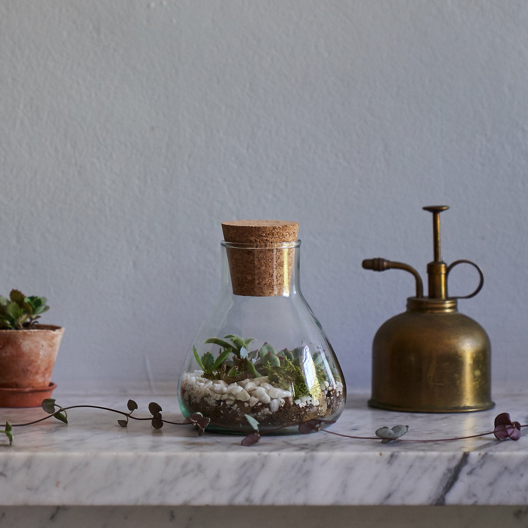 DIY terrarium kit