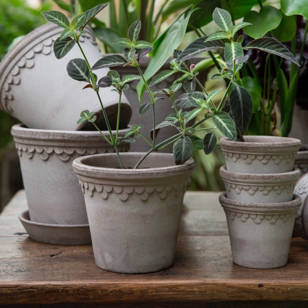 Bergs Potter grey pots and saucers