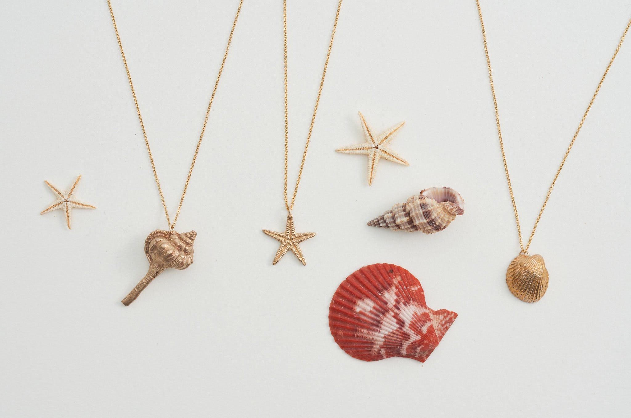 Hand Cast Shell Necklace | Spiral