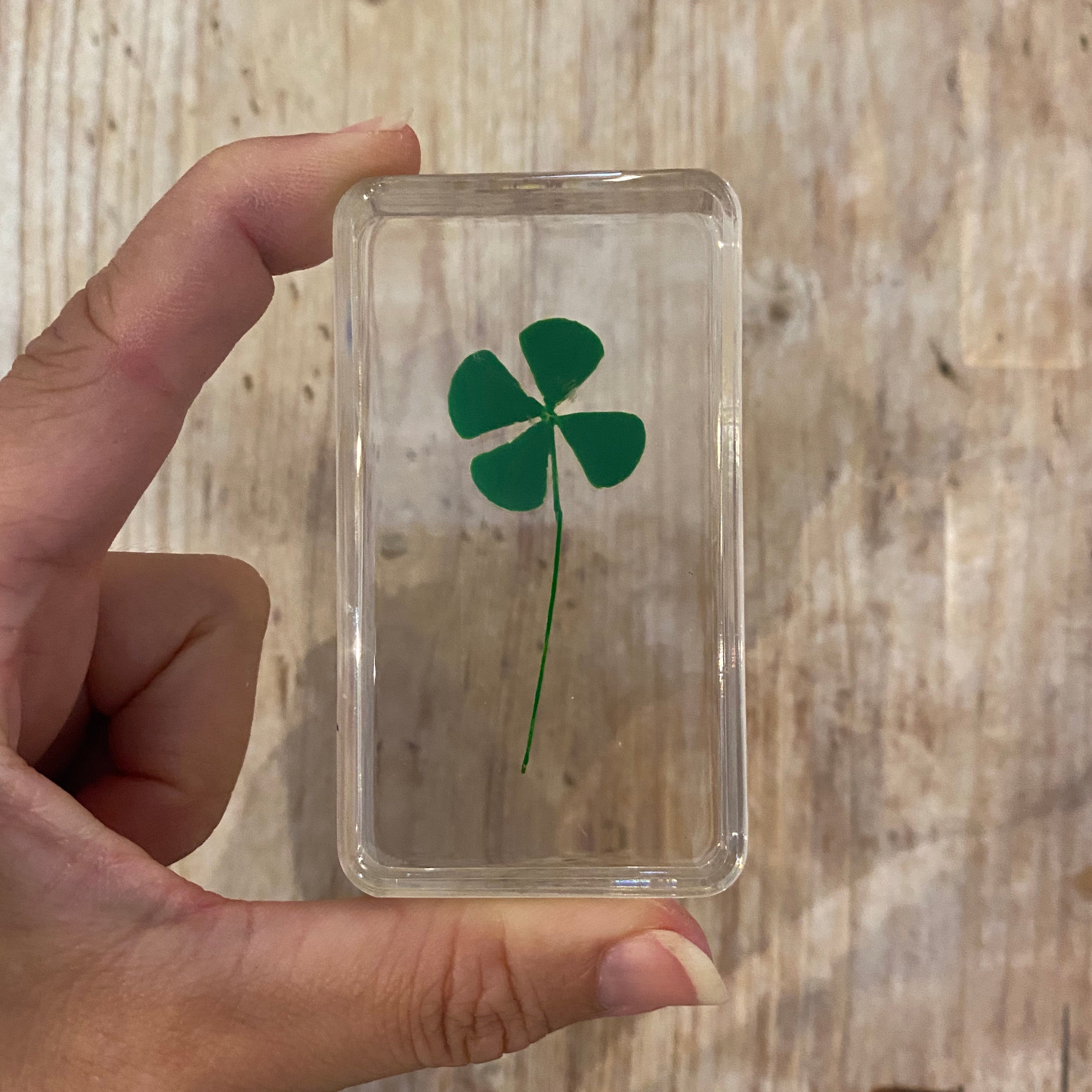 Real Pressed Flowers in Resin | Large