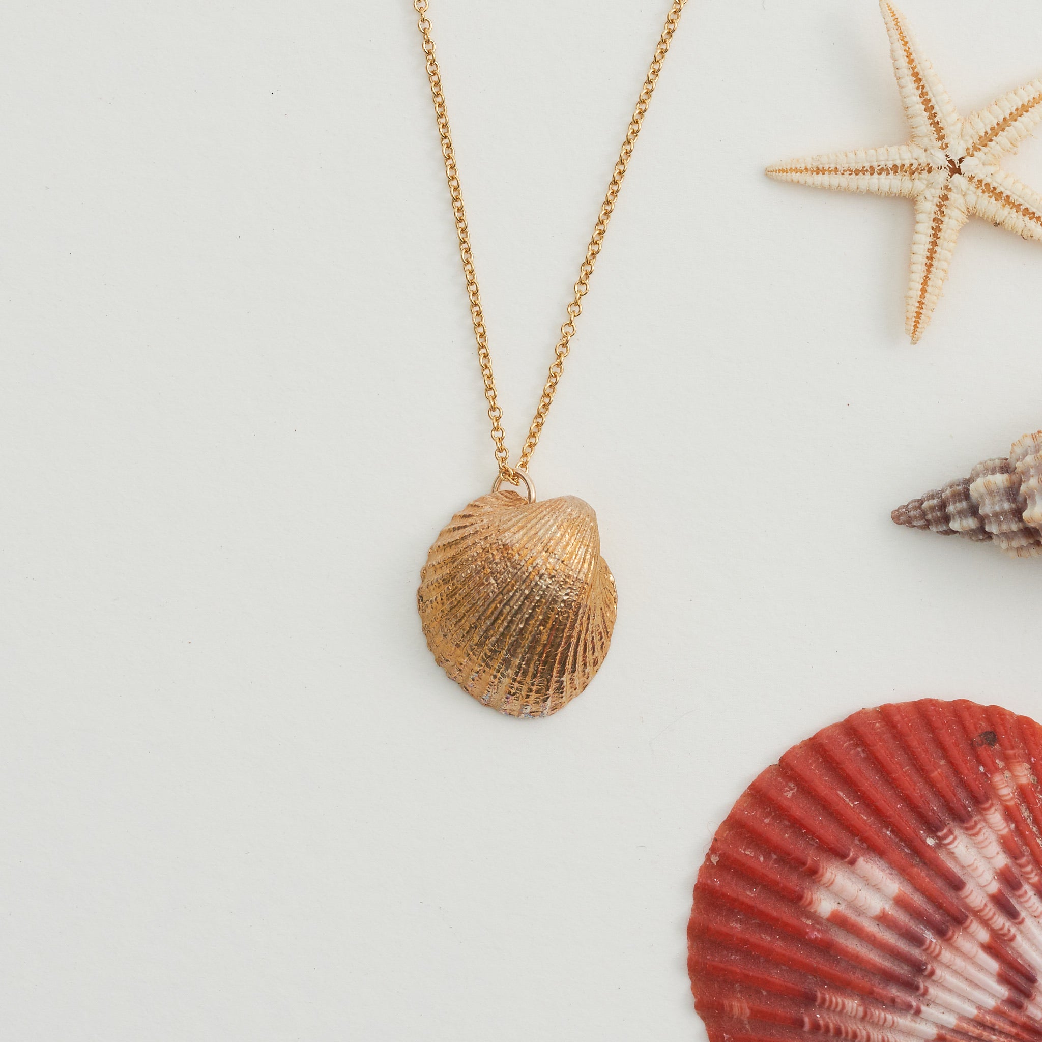 Hand Cast Shell Necklace | Cockle
