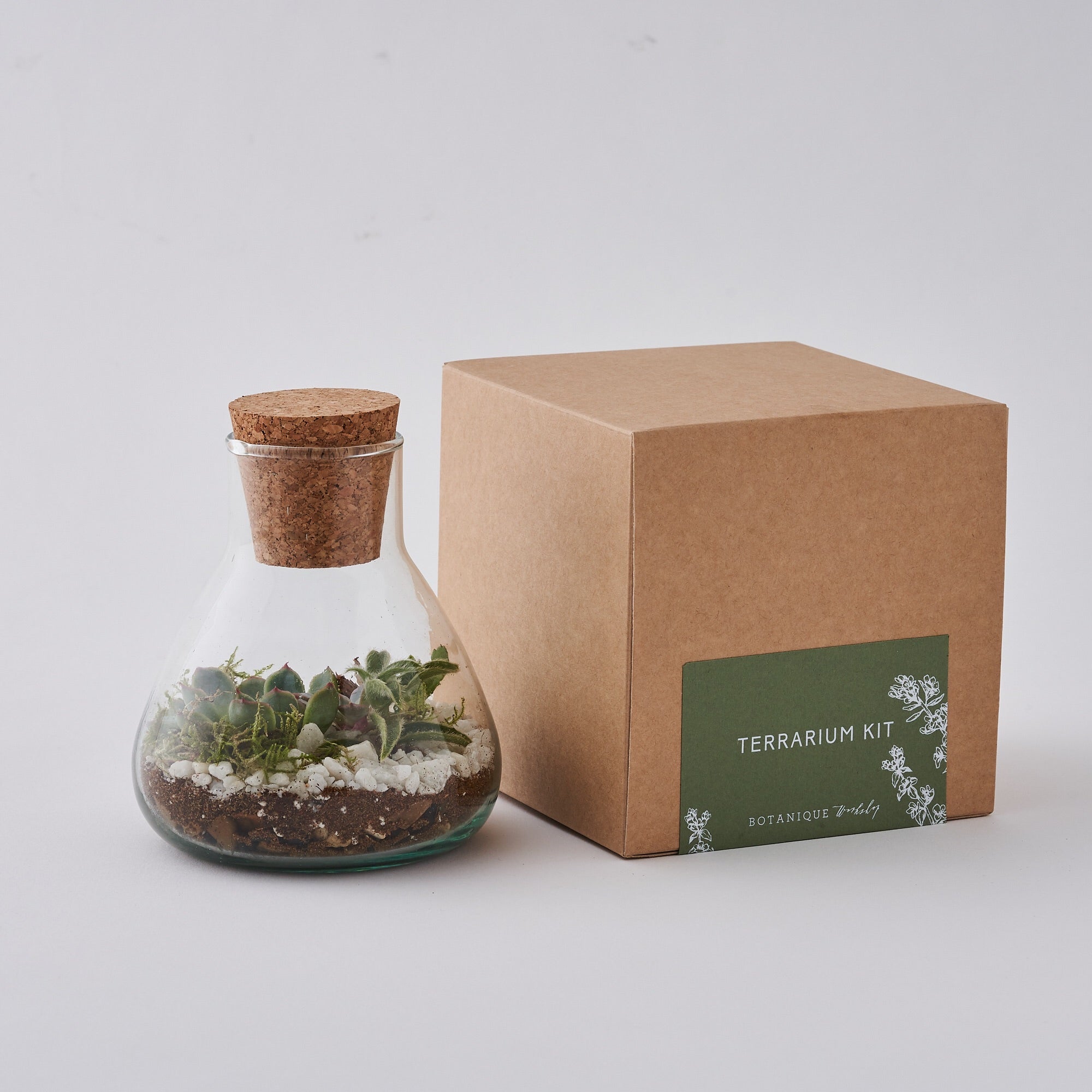 terrarium making kit by Botanique Workshop London