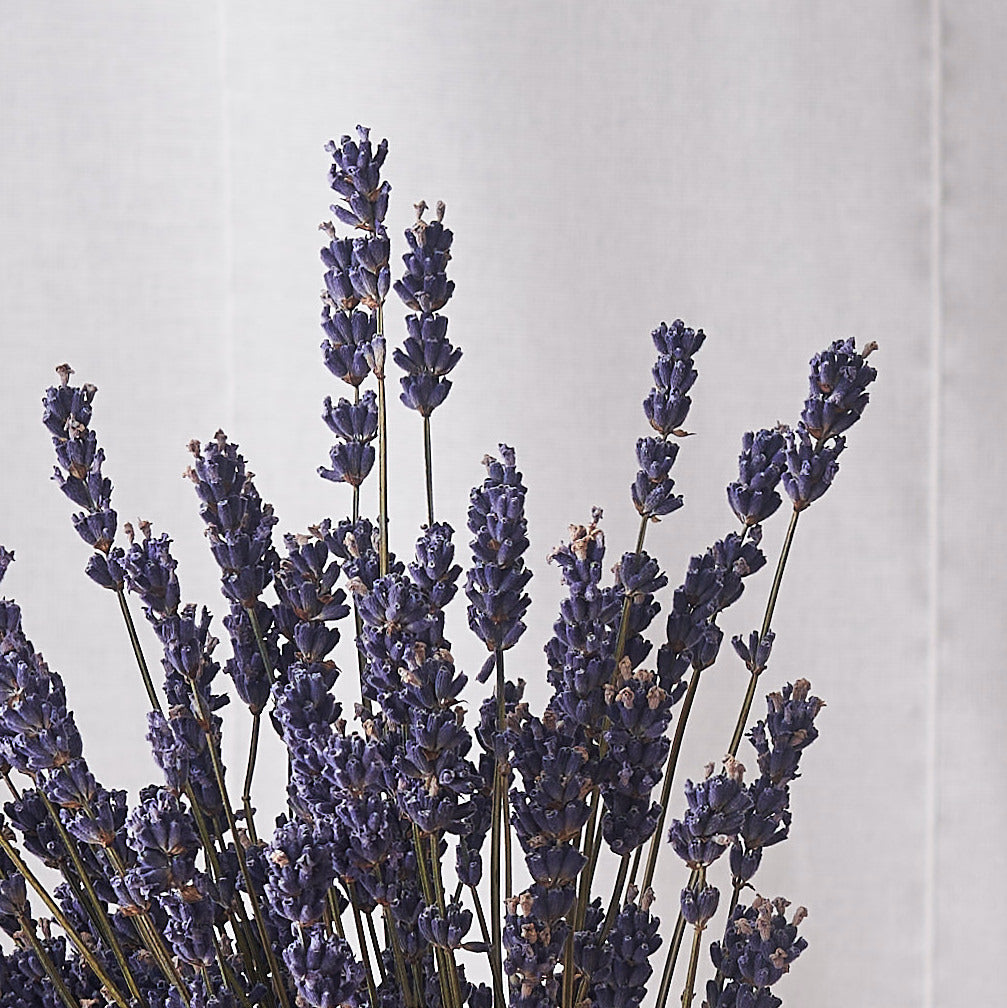 Dried Lavender Bunch