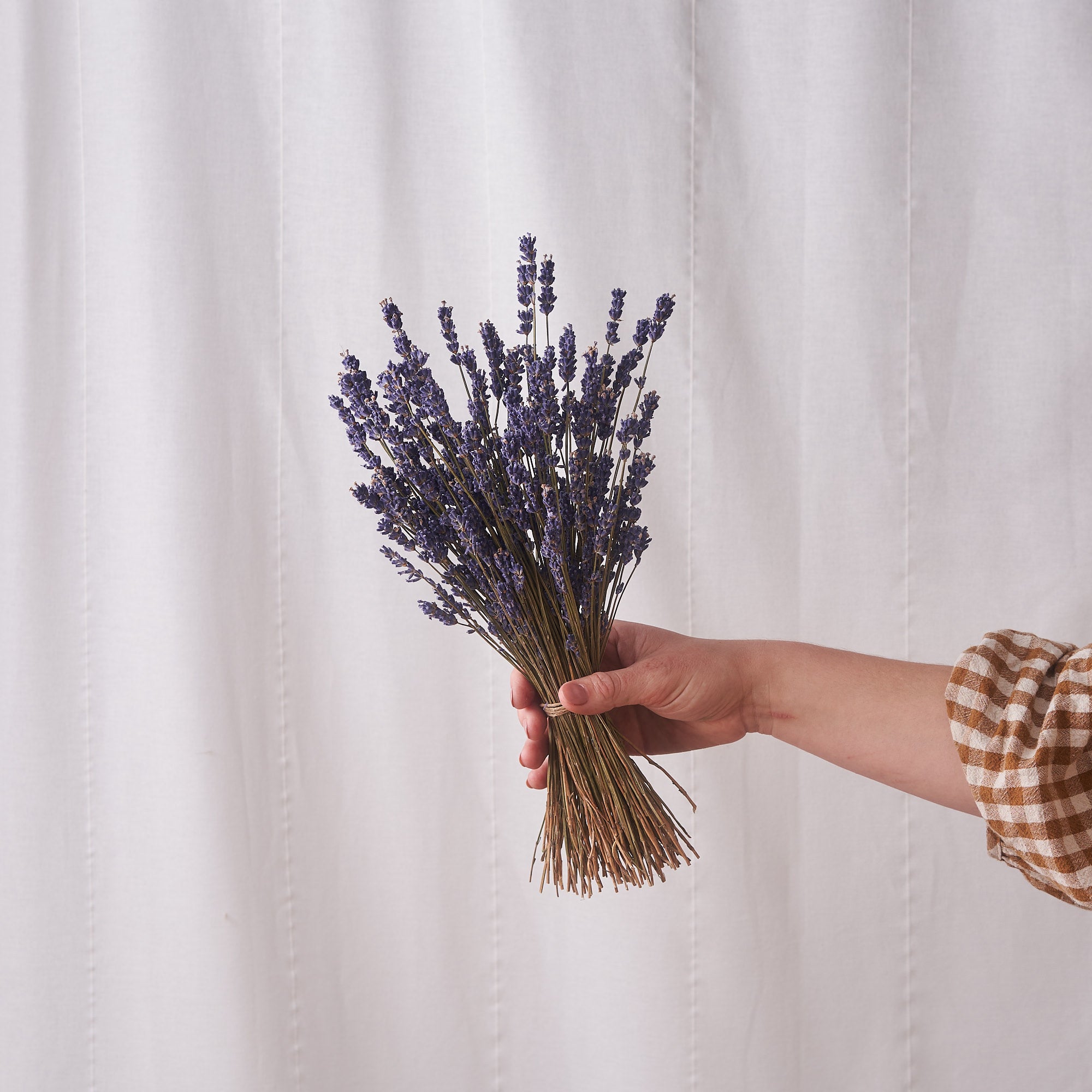 Dried Lavender Bunch