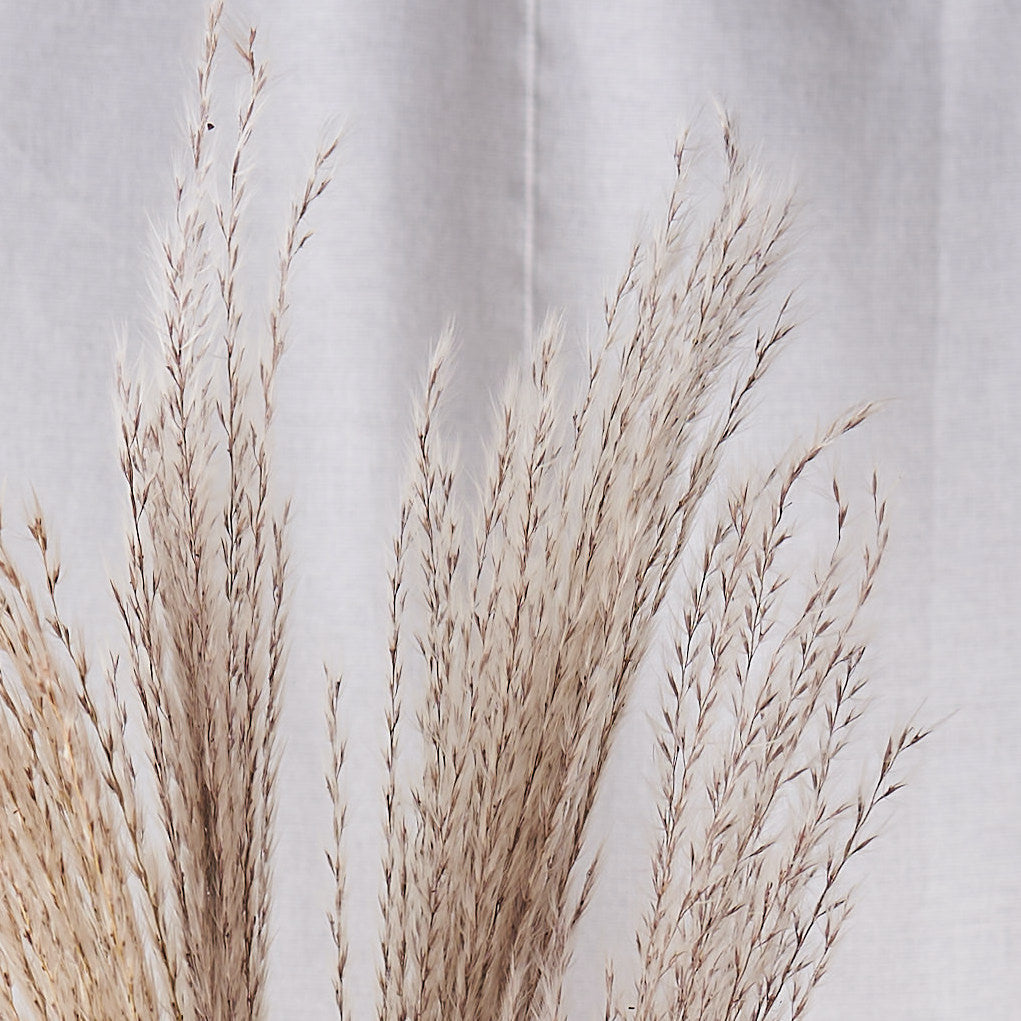 miscanthus dried bunch to order online