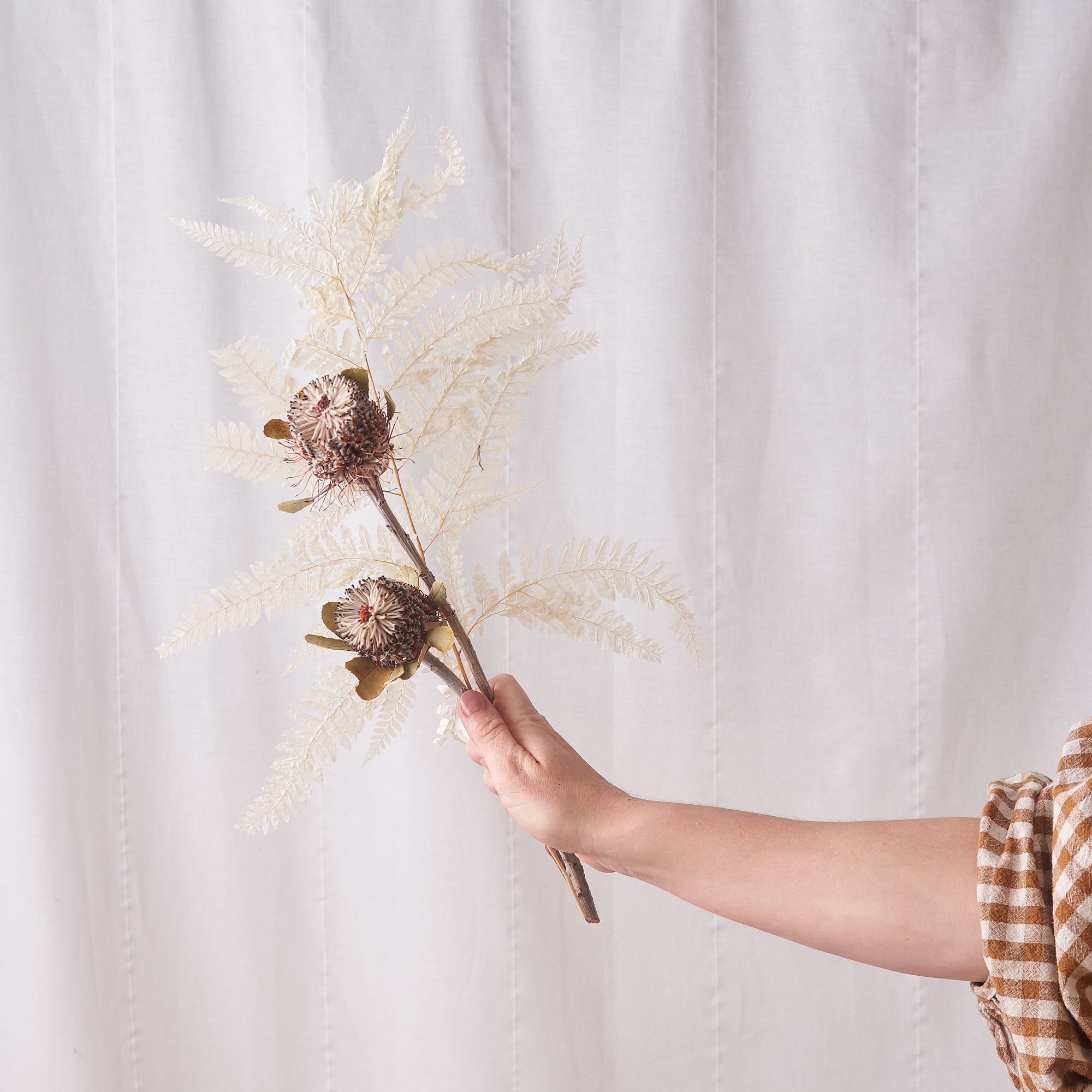 dried flower bunch with bleached white fern and banksia