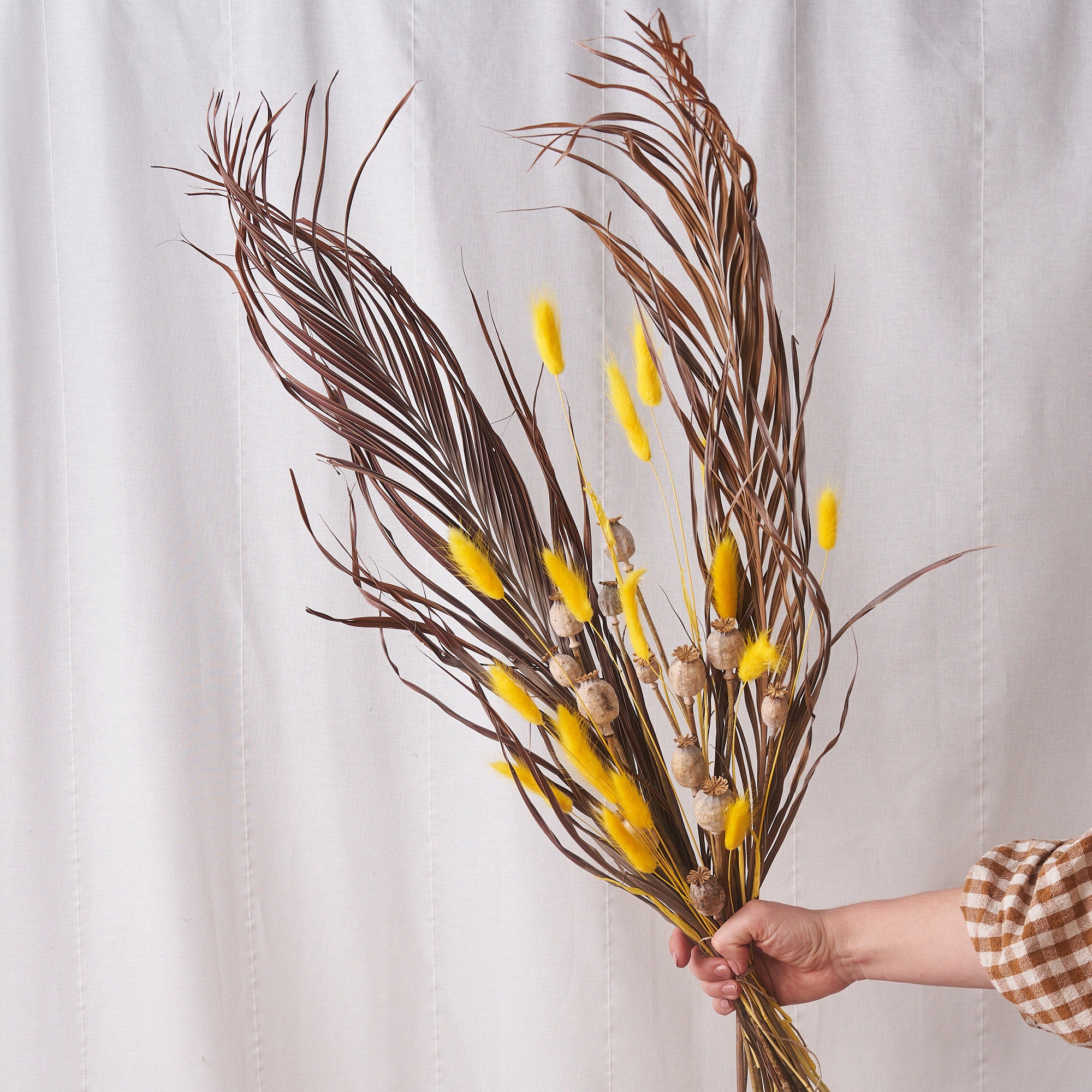 Banana split: Wild kentia, yellow bunnytails and poppy heads