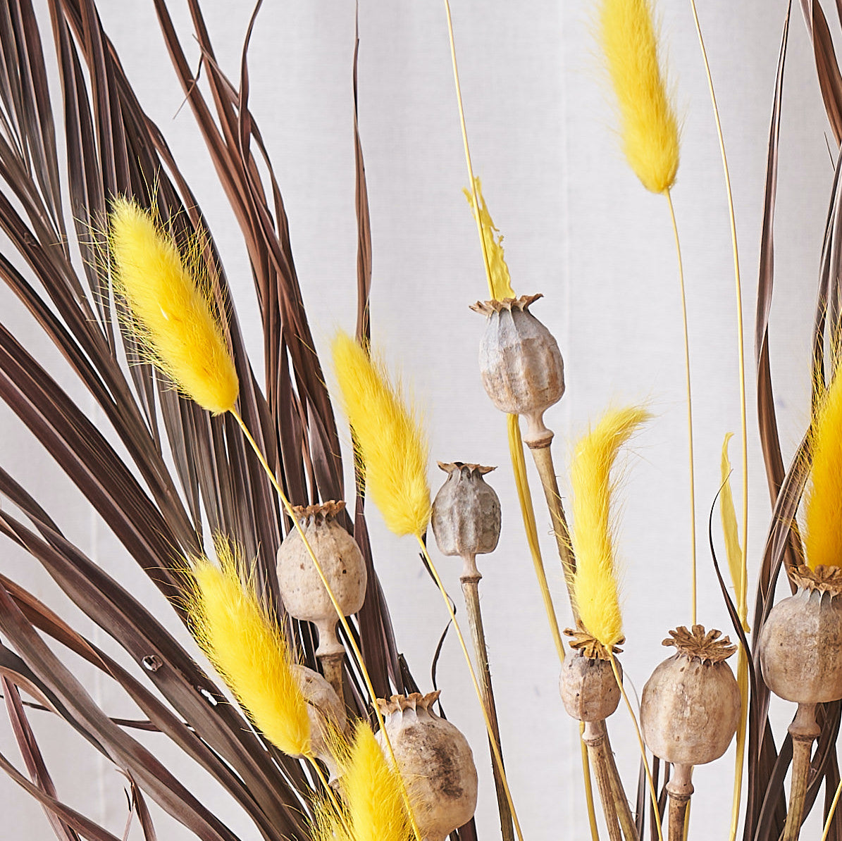 Banana split: Wild kentia, yellow bunnytails and poppy heads