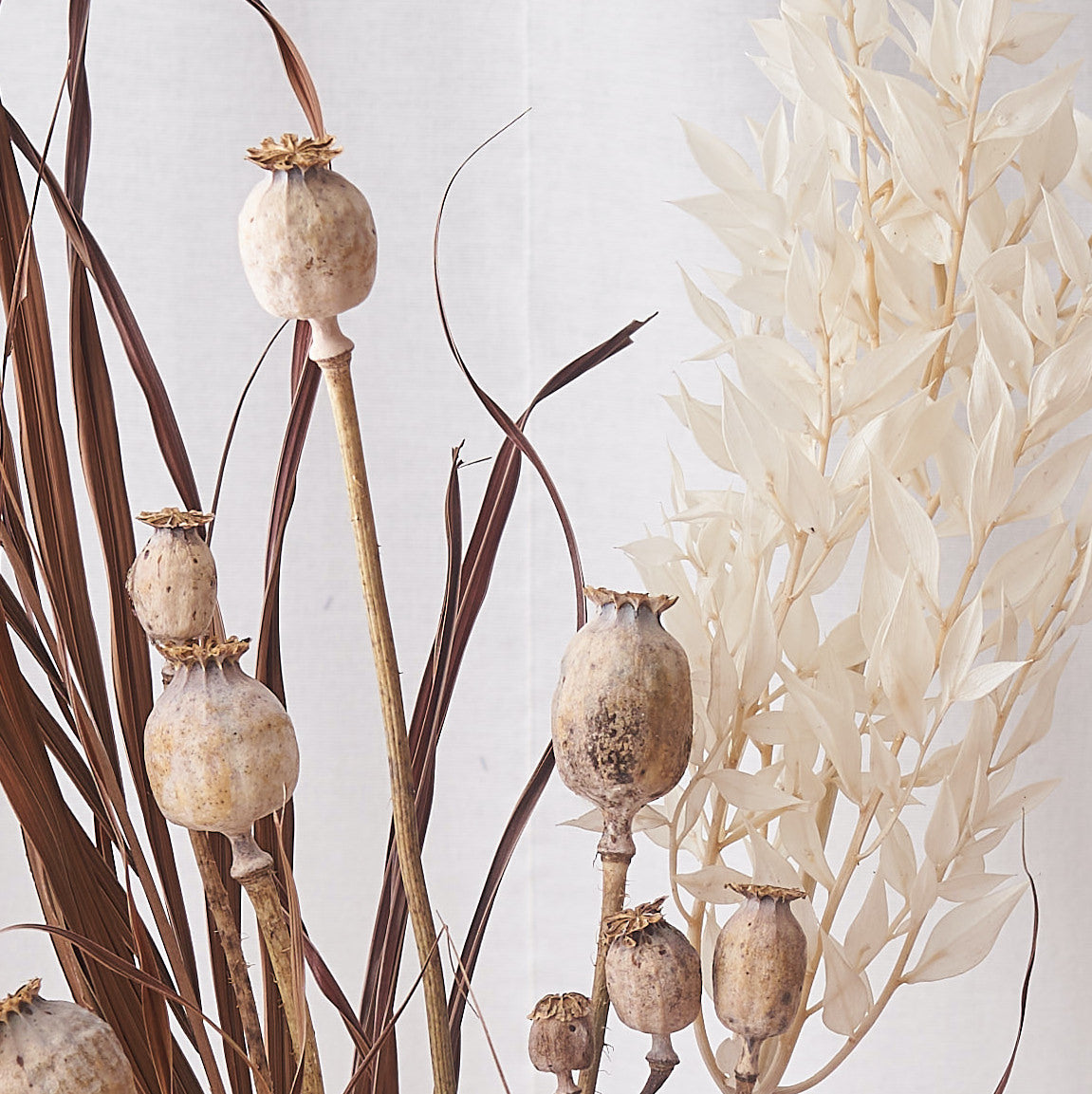 Autumn Shadows: Wild Kentia, White Ruscus and Poppy Head