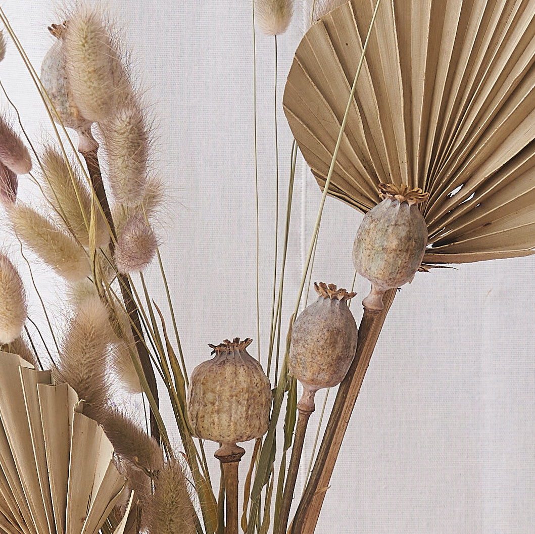 Sand dunes: palm spear, natural bunnytails and poppy heads