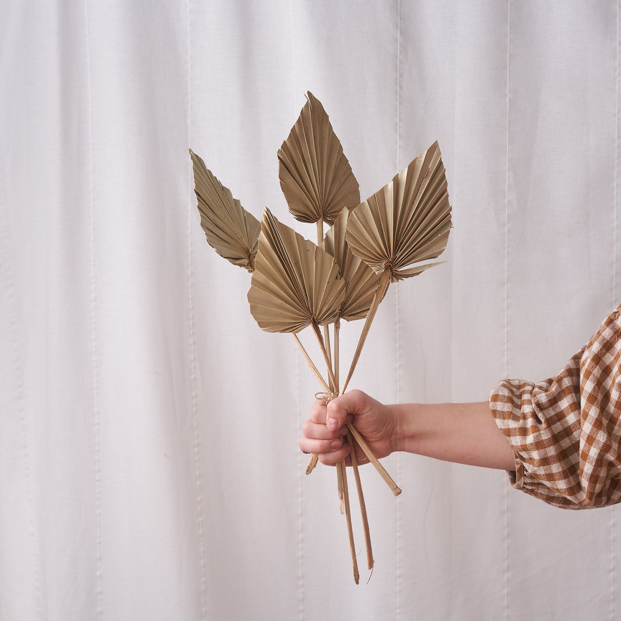 Palm spear natural dried bunch