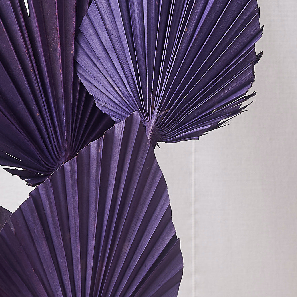 Palm spear purple dried bunch