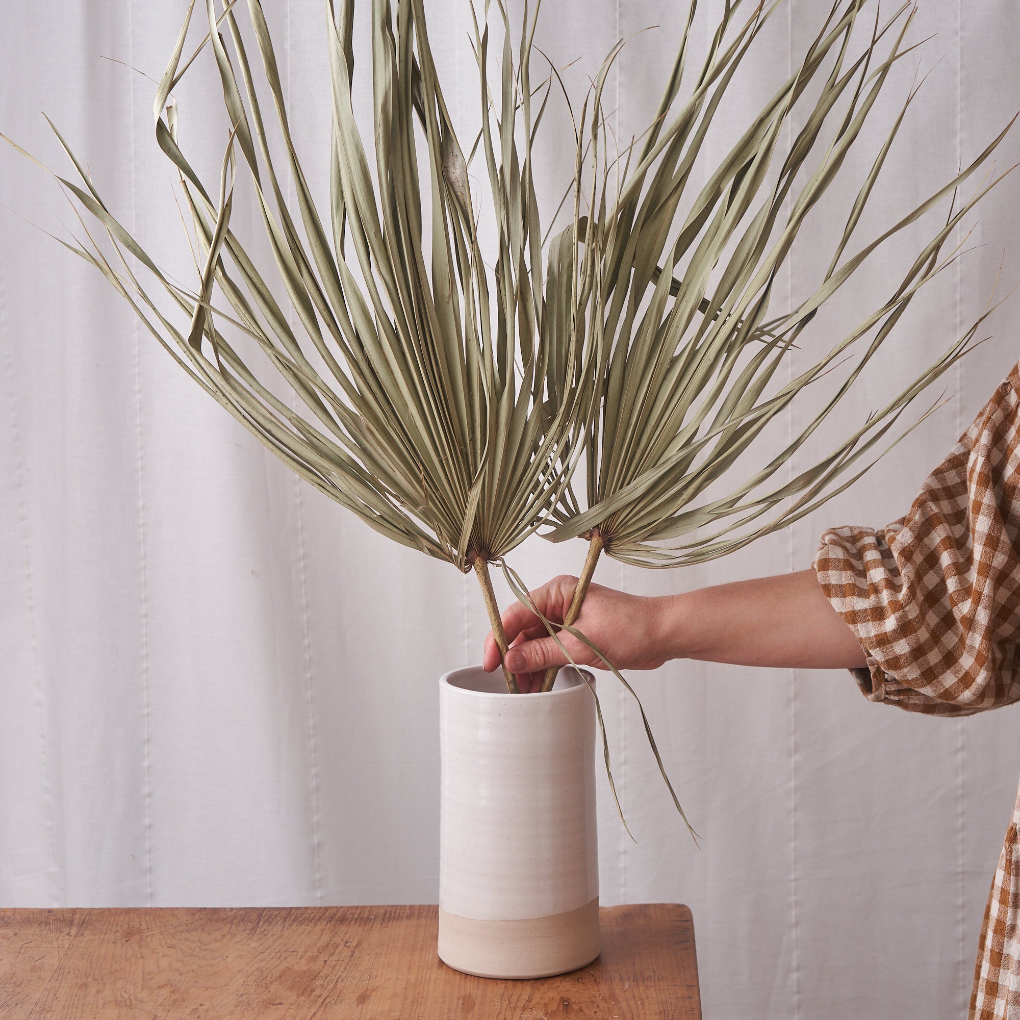 Palm wild natural dried bunch