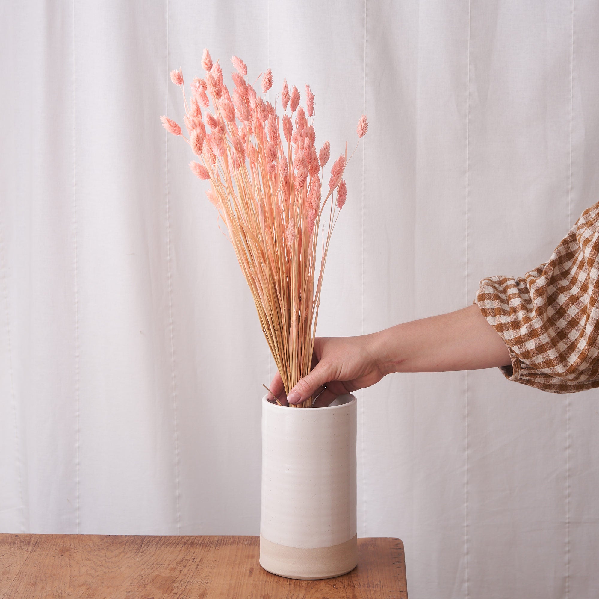 Phalaris soft pink dried bunch