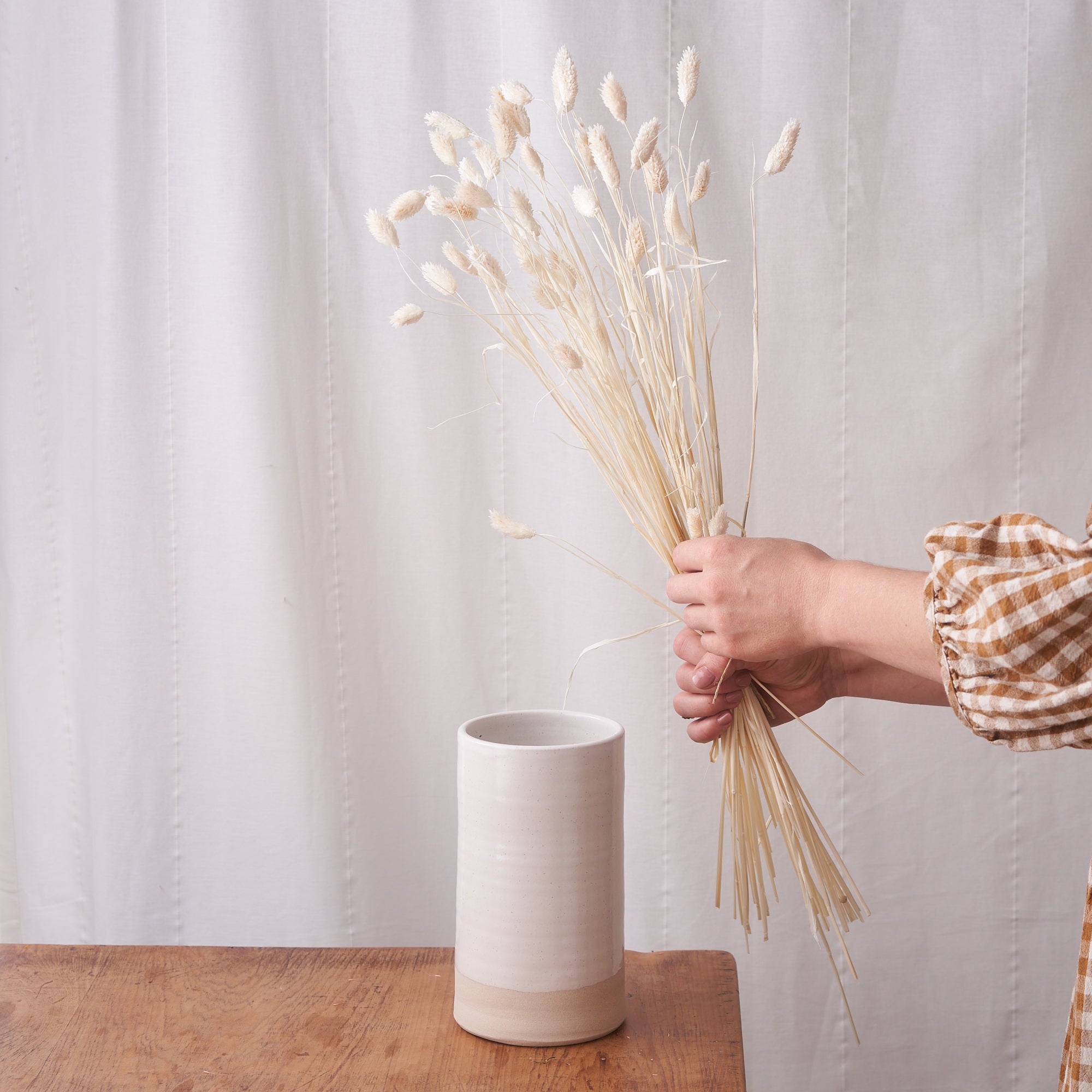 Phalaris dried flowers white wash