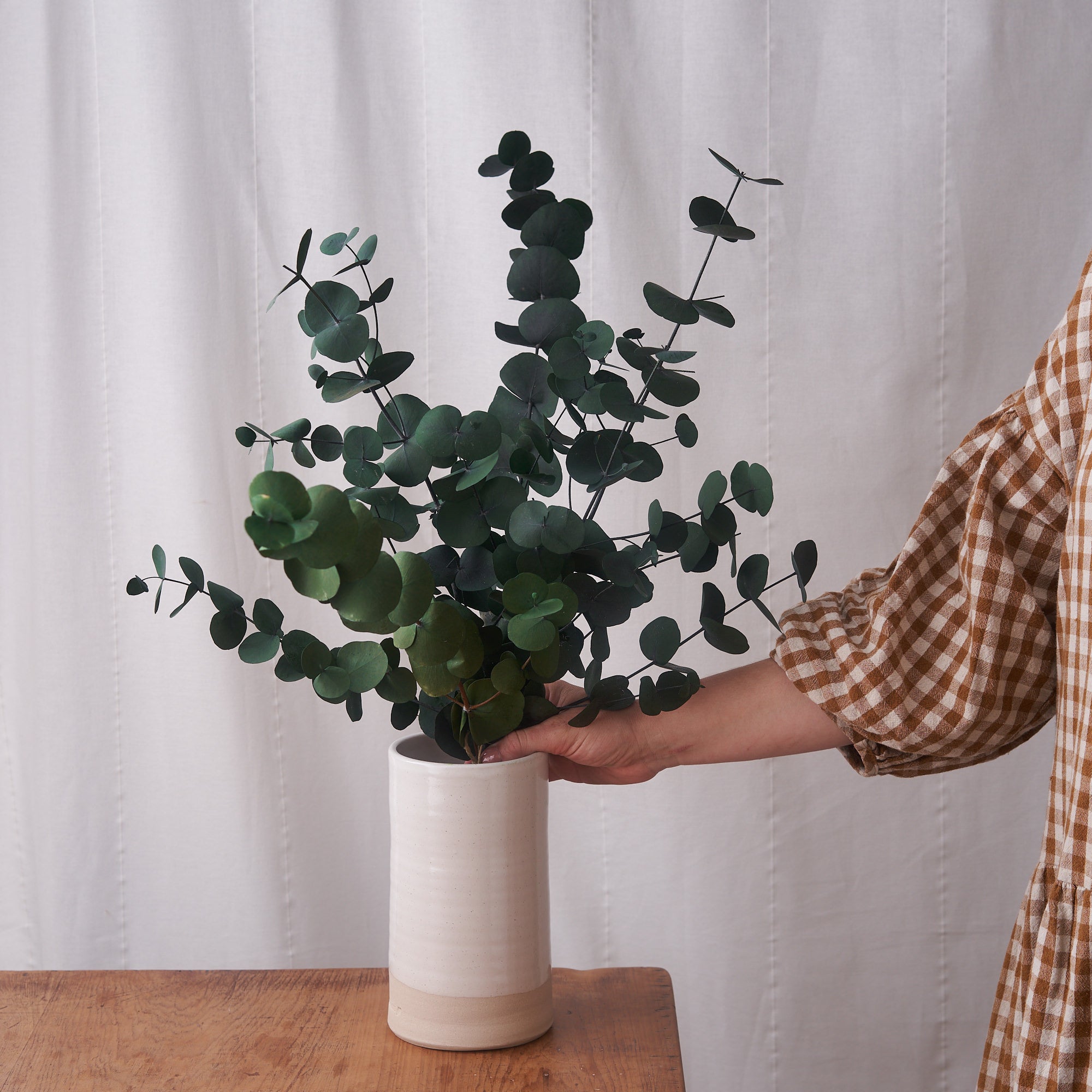 bunch of preserved dried eucalyptus in vase