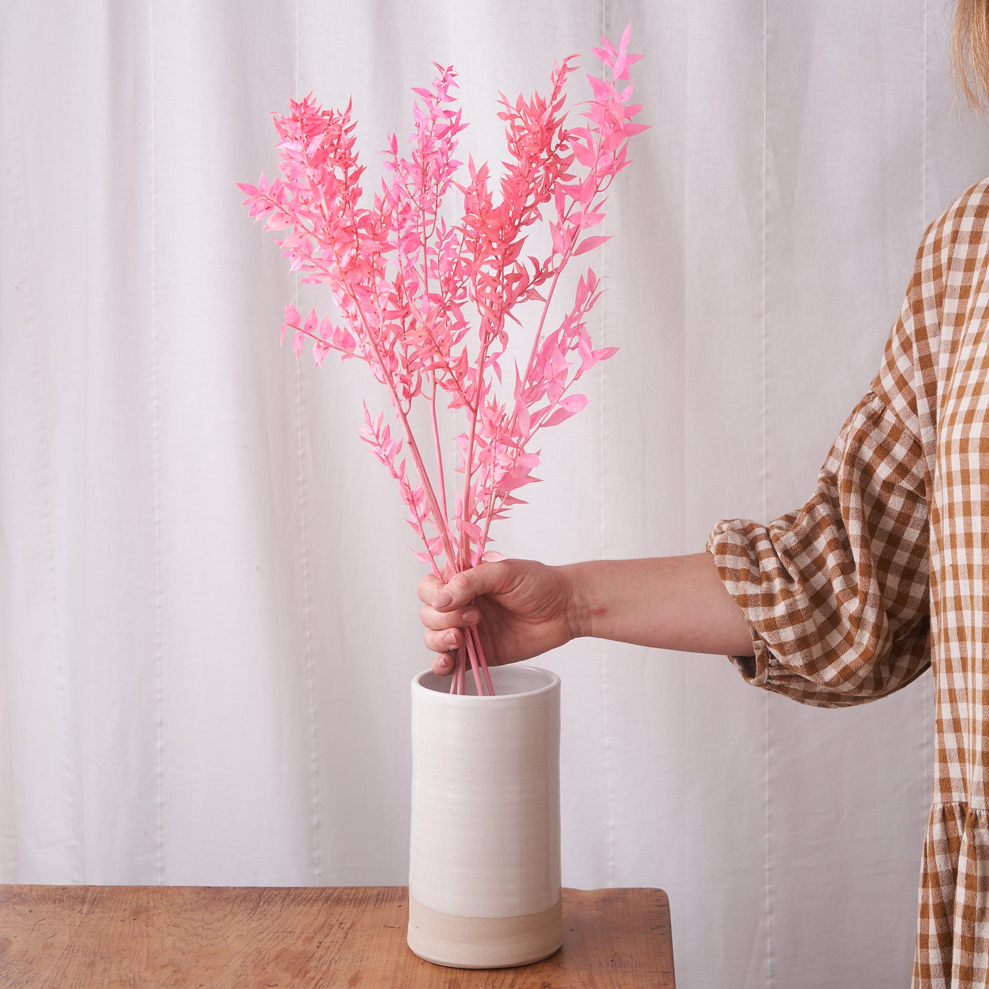 Ruscus preserved fluor pink dried bunch