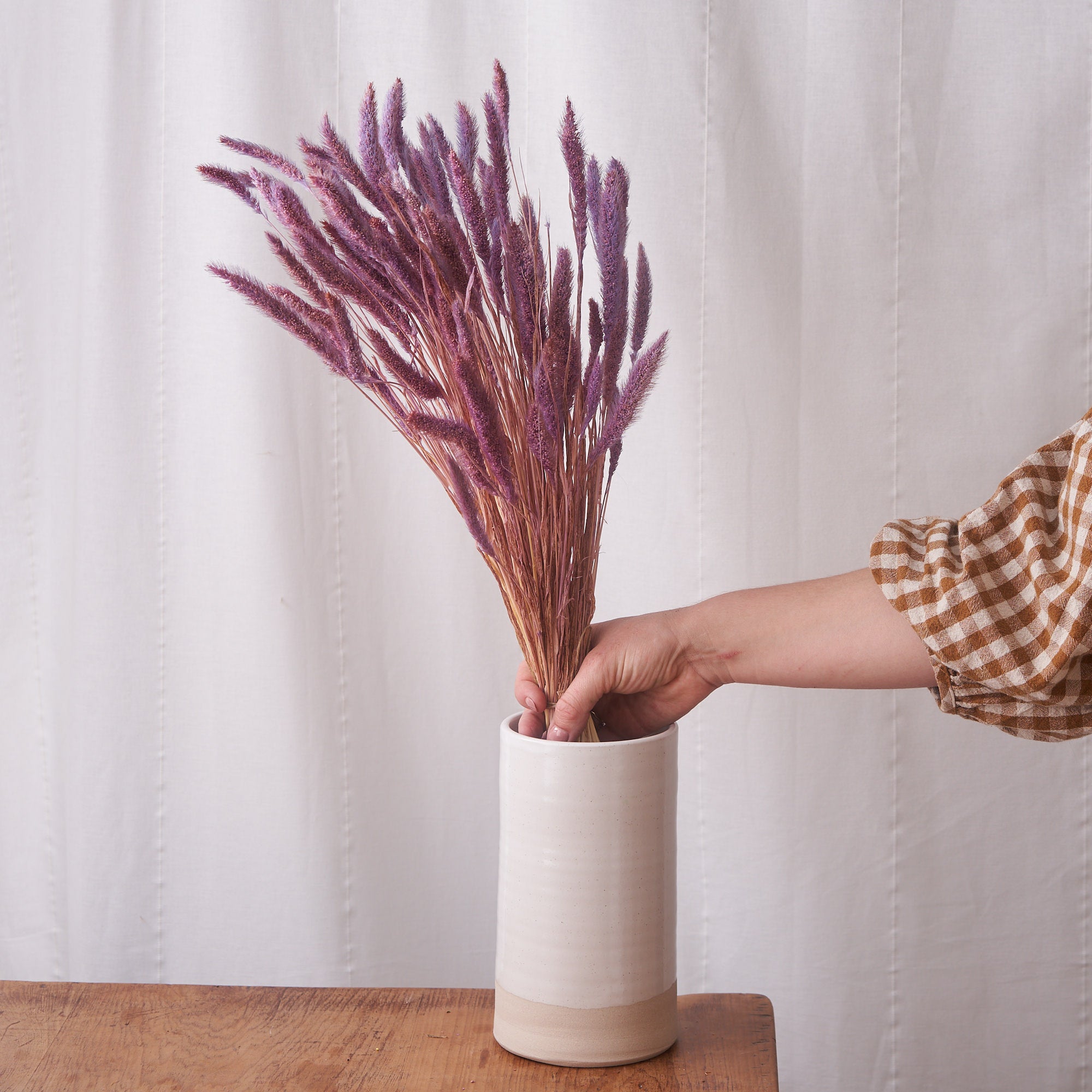 Setaria Purple Dried Bunch