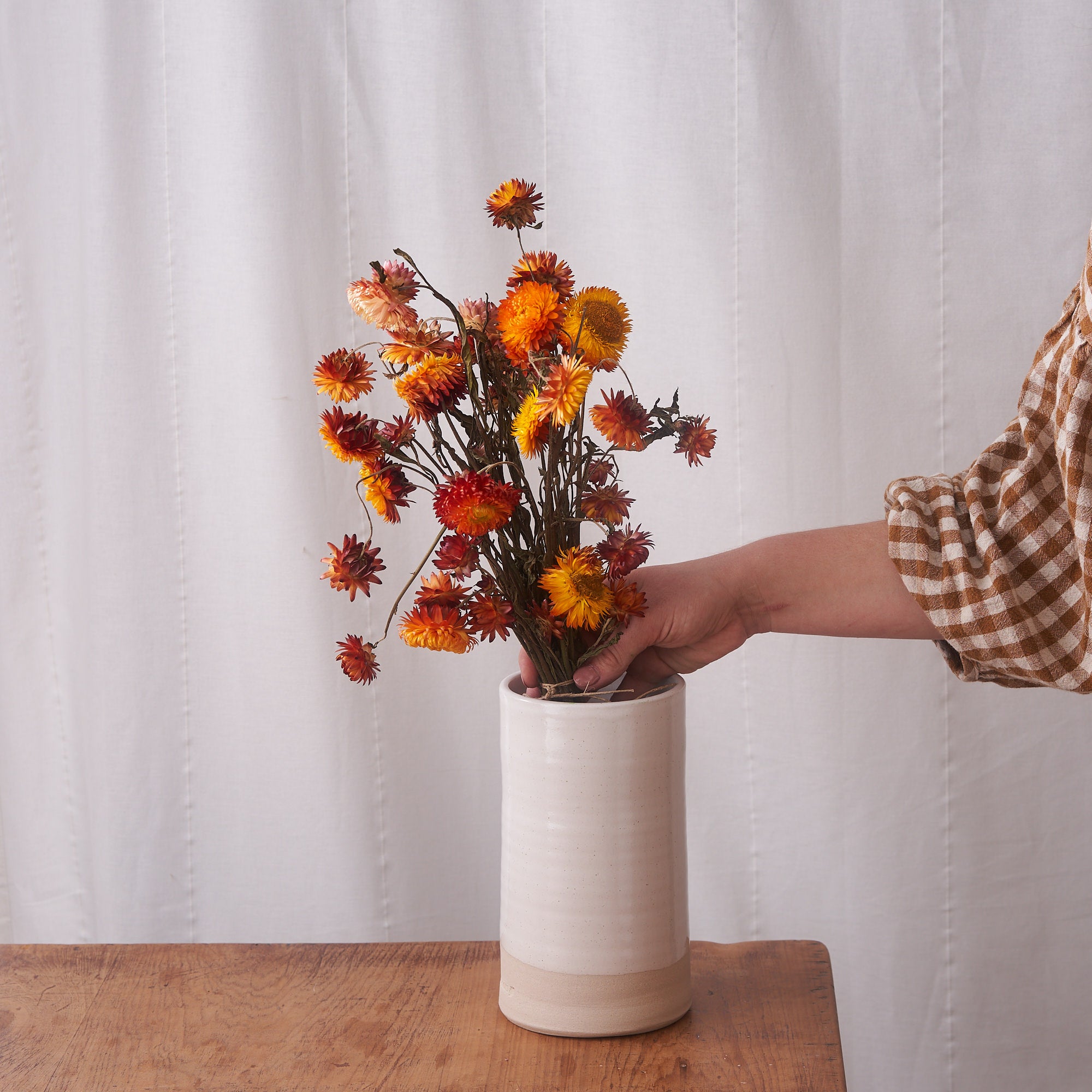 Orange straw flower dried bunch