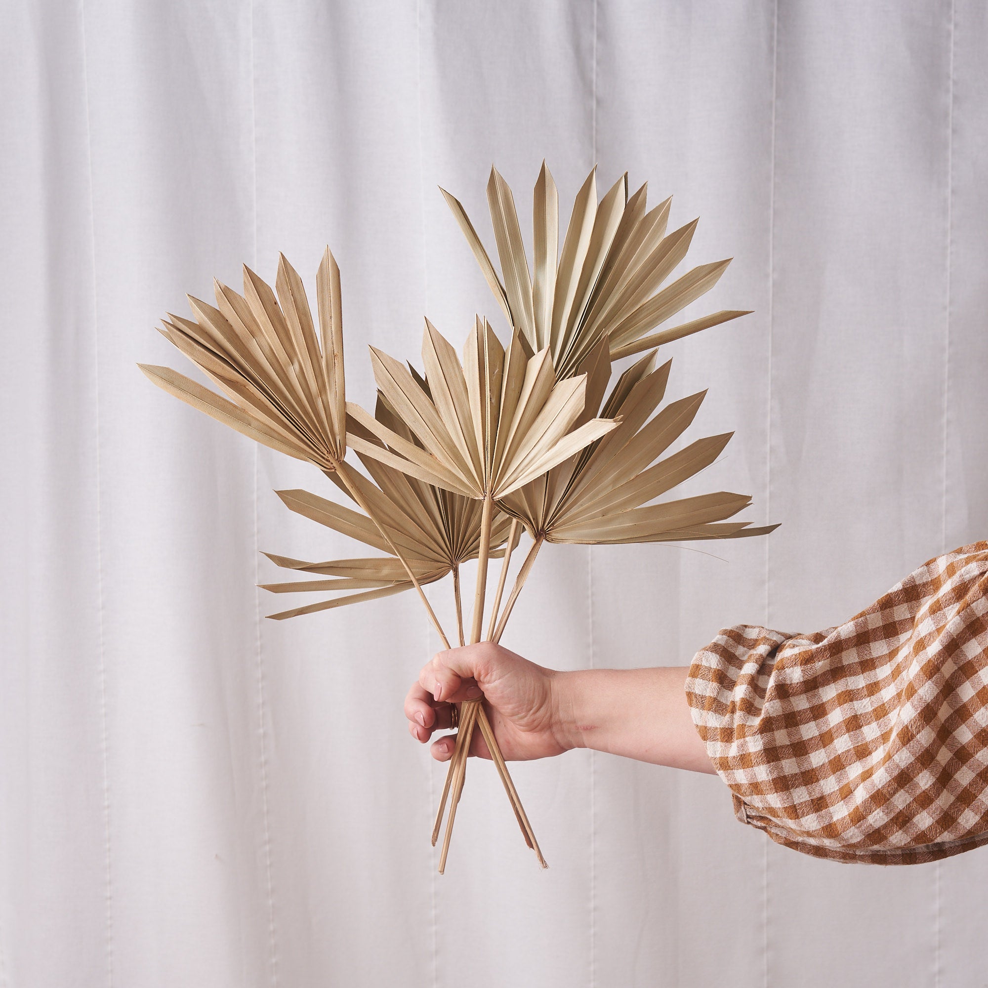 Sun palm natural dried bunch