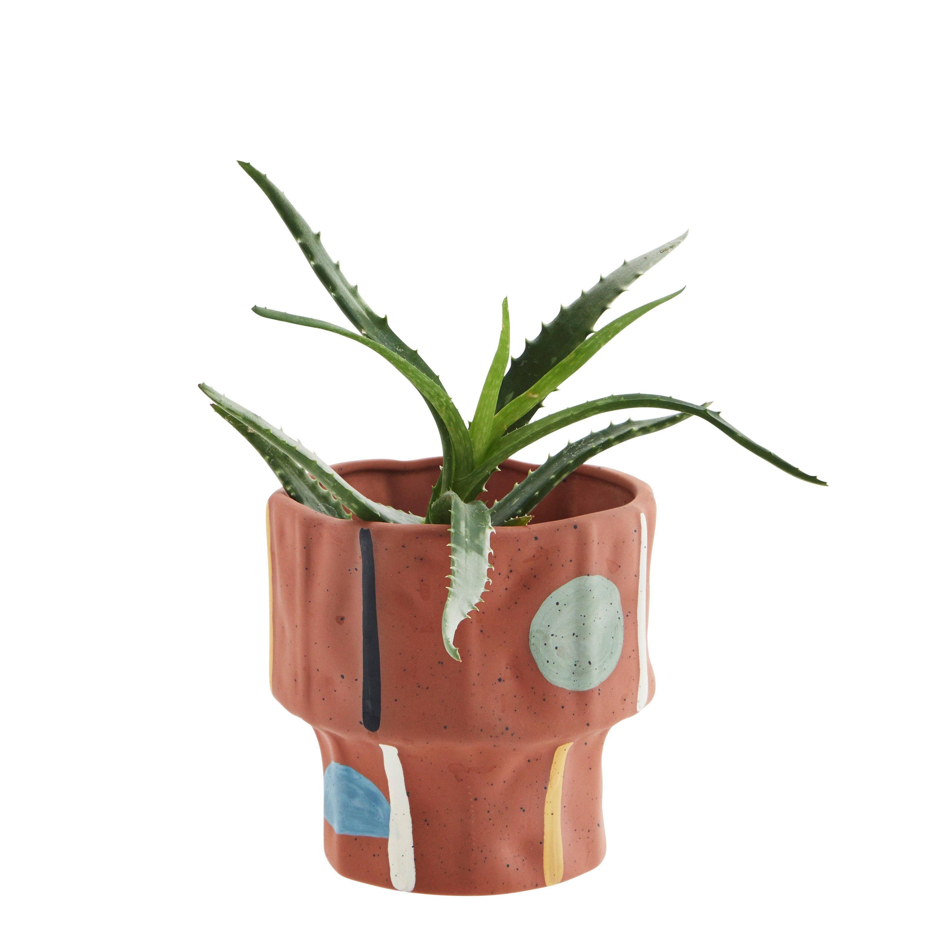 Hand Painted Terracotta Plant Pot